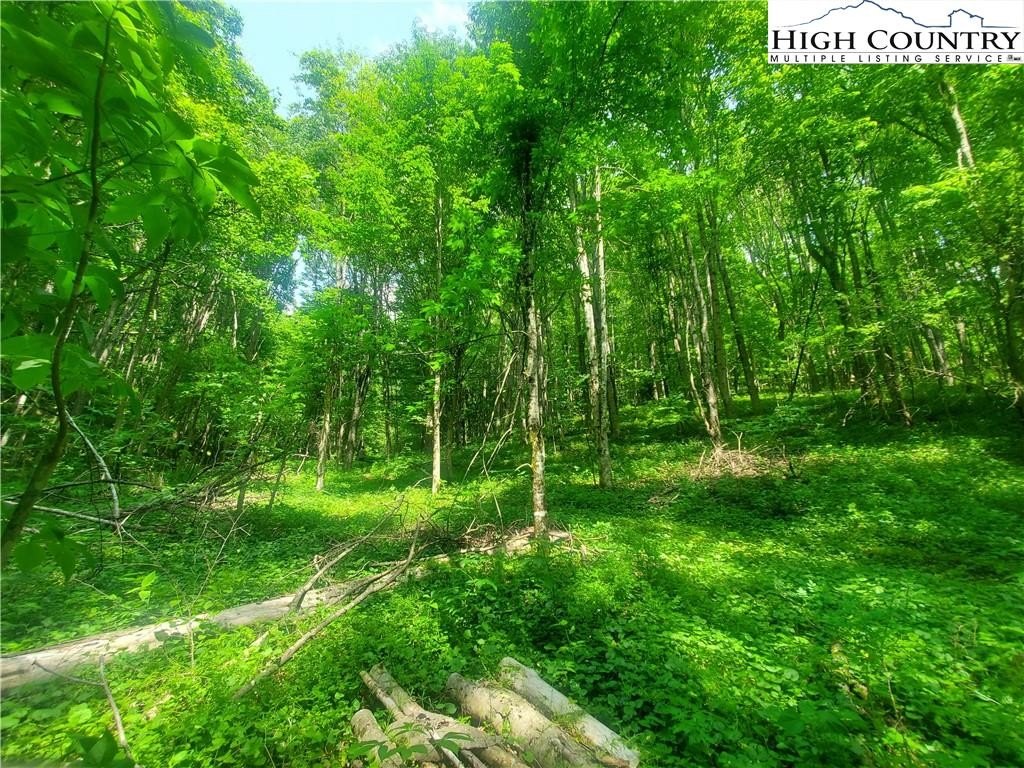 Warrensville, North Carolina, 28693, United States, ,Land,For Sale,1984173