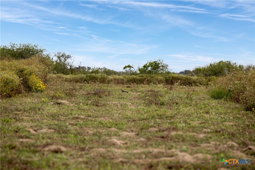 Tivoli, Texas, 77990, United States, ,Land,For Sale,1996181