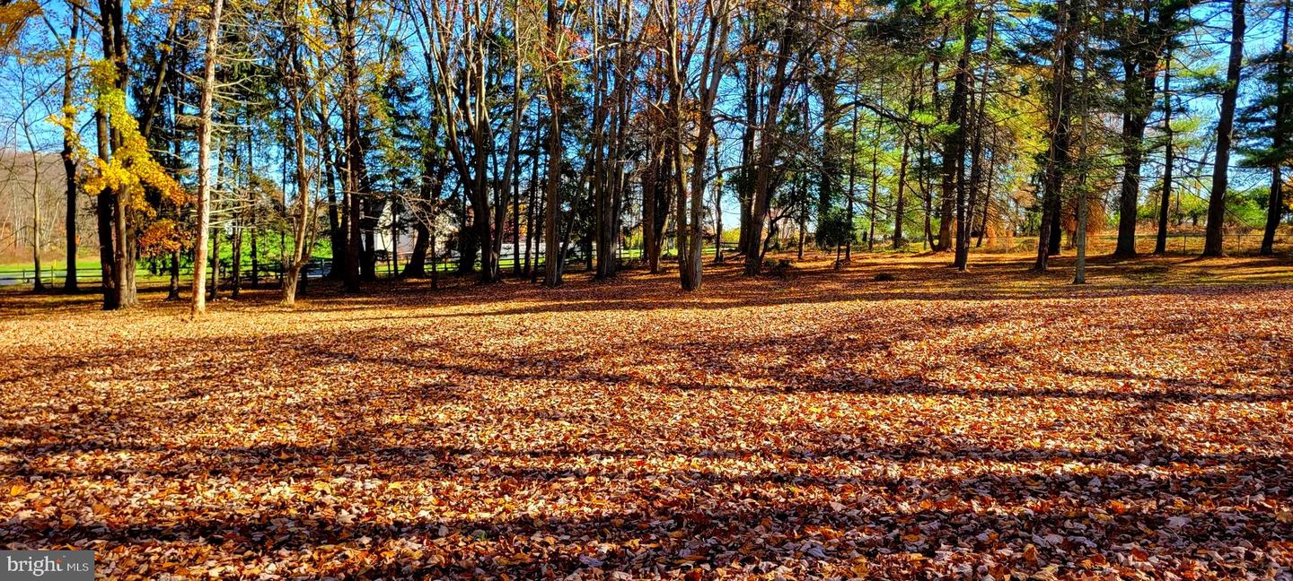 Glen Mills, Pennsylvania, 19342, United States, ,Land,For Sale,1857840