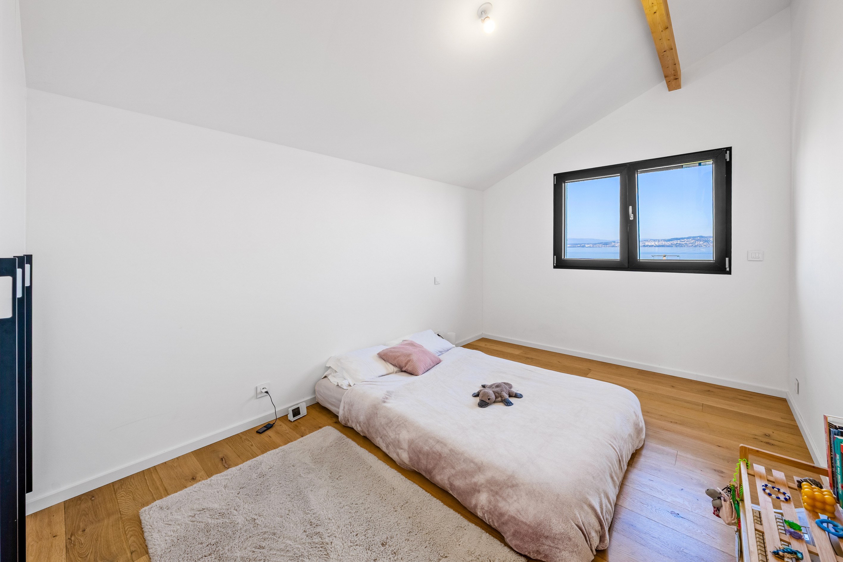  LUGRIN, RECENT VILLA 5 BEDROOMS VIEW ON THE LAKE - 物件實景
