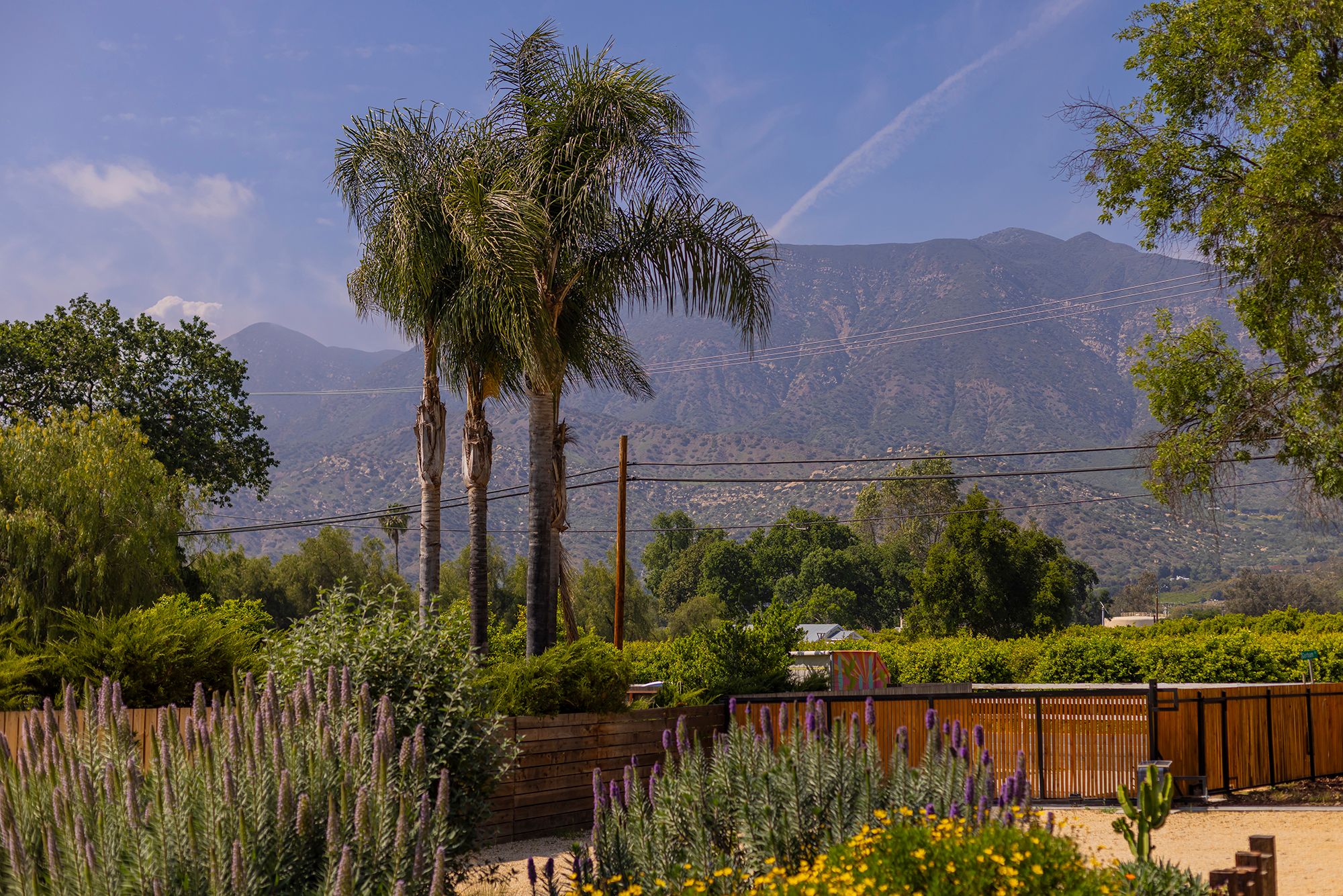  1994 East Ojai Avenue, Ojai, CA 93023 - 物件實景