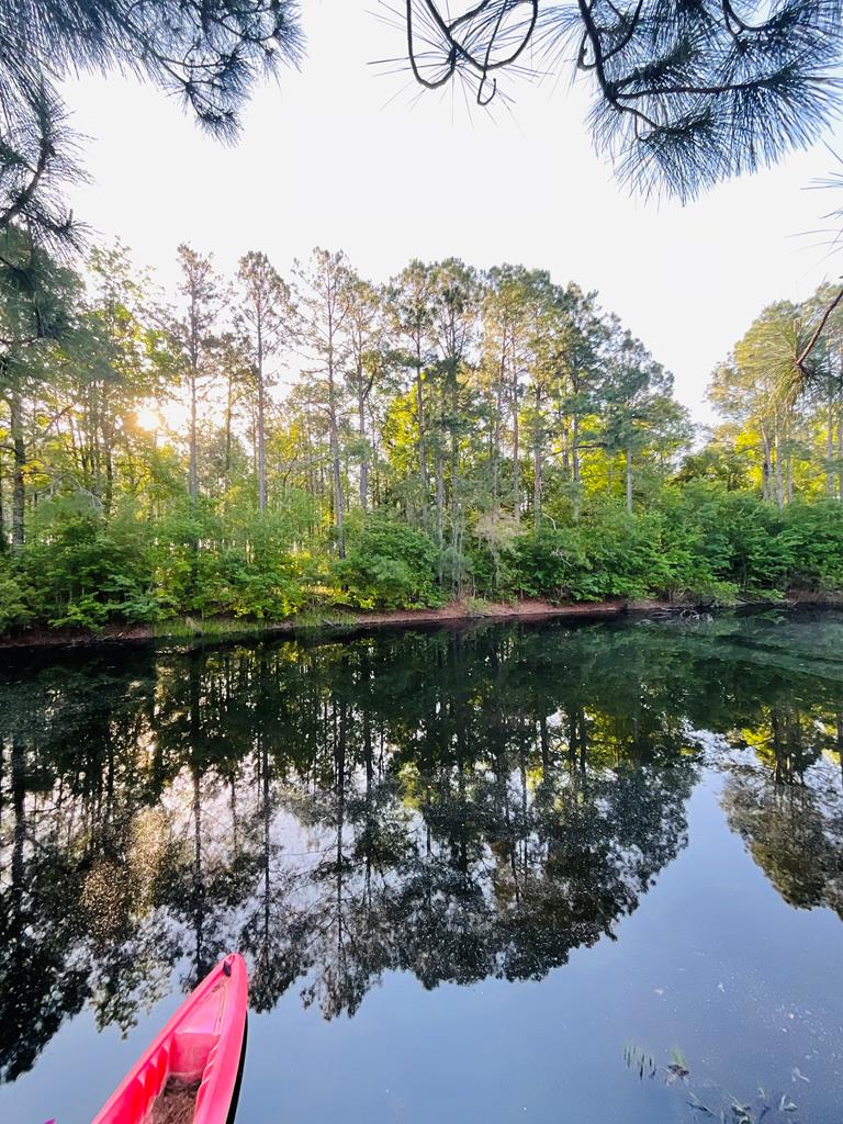 Cordele, Georgia, 31015, United States, ,Residential,For Sale,1982733