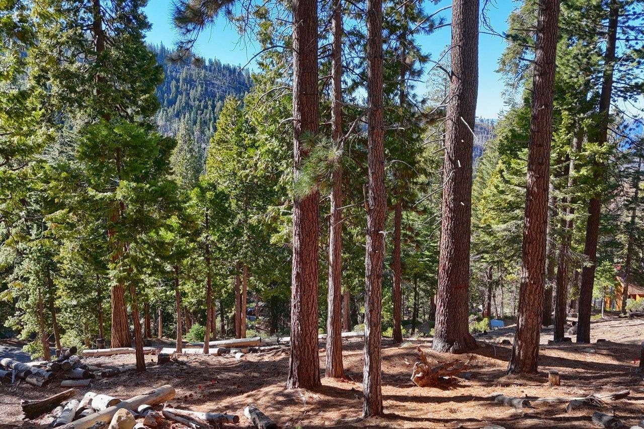 Yosemite West, California, 95389, United States, ,Residential,For Sale,1855046