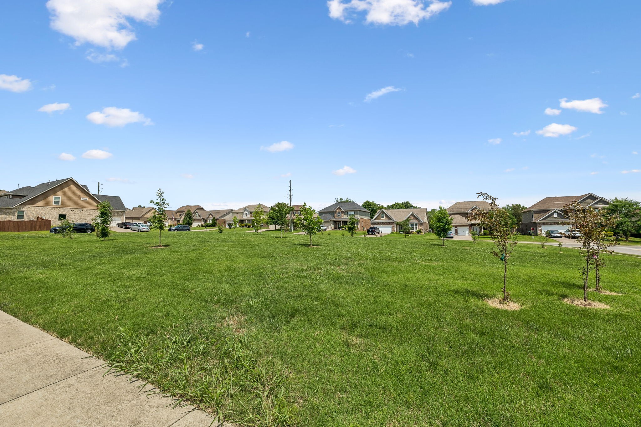  5908 Sonoma Ct, Smyrna, TN, 37167 - 物件實景