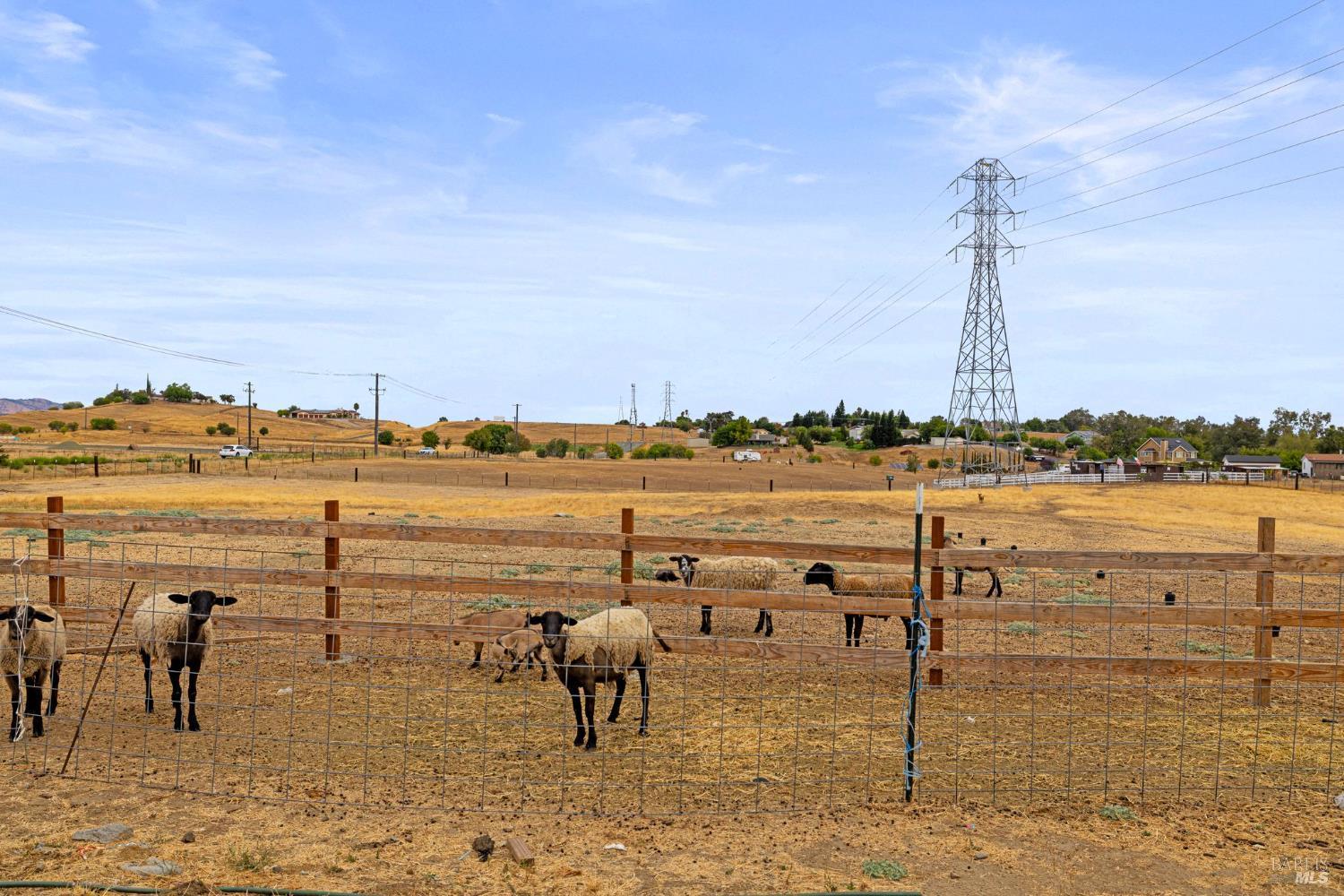Vacaville, California, 95688, United States, 3 Bedrooms Bedrooms, ,2 BathroomsBathrooms,Residential,For Sale,1982047