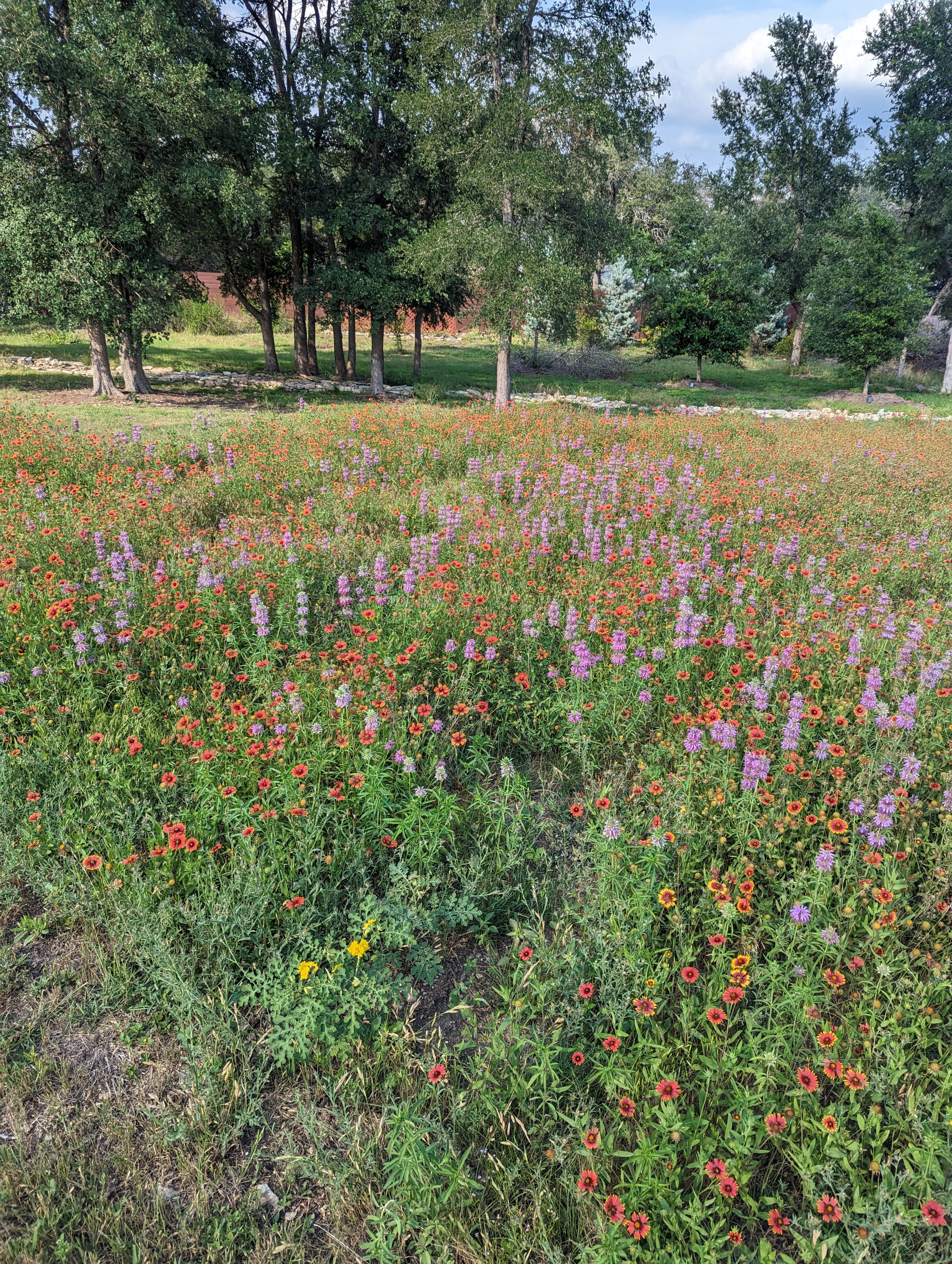  Single-Story Retreat on One Acre with Close Proximity to Private Schools - 物件實景