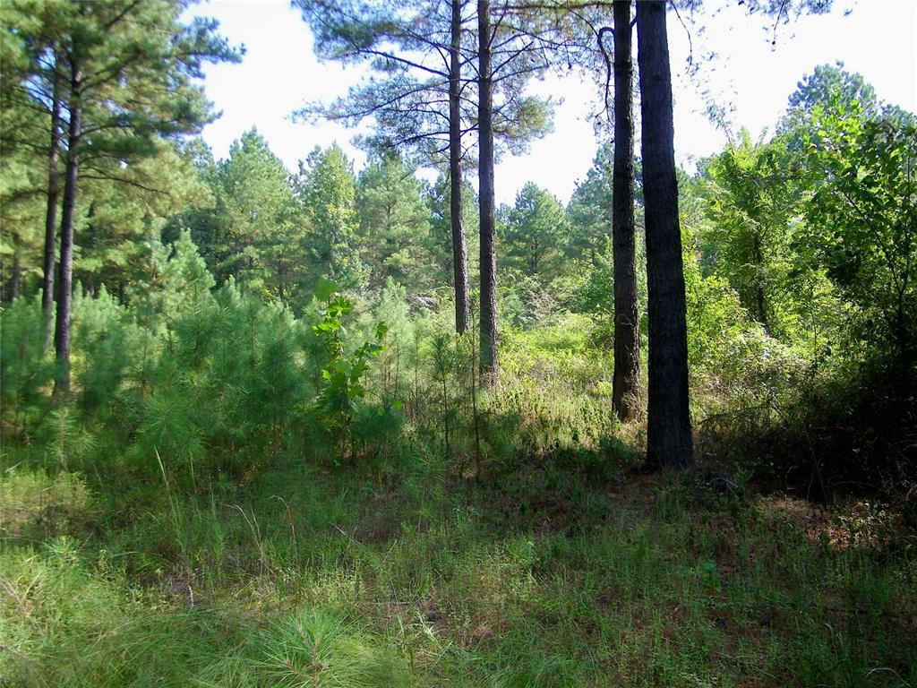 Broken Bow, Oklahoma, 74728, United States, ,Residential,For Sale,1979541