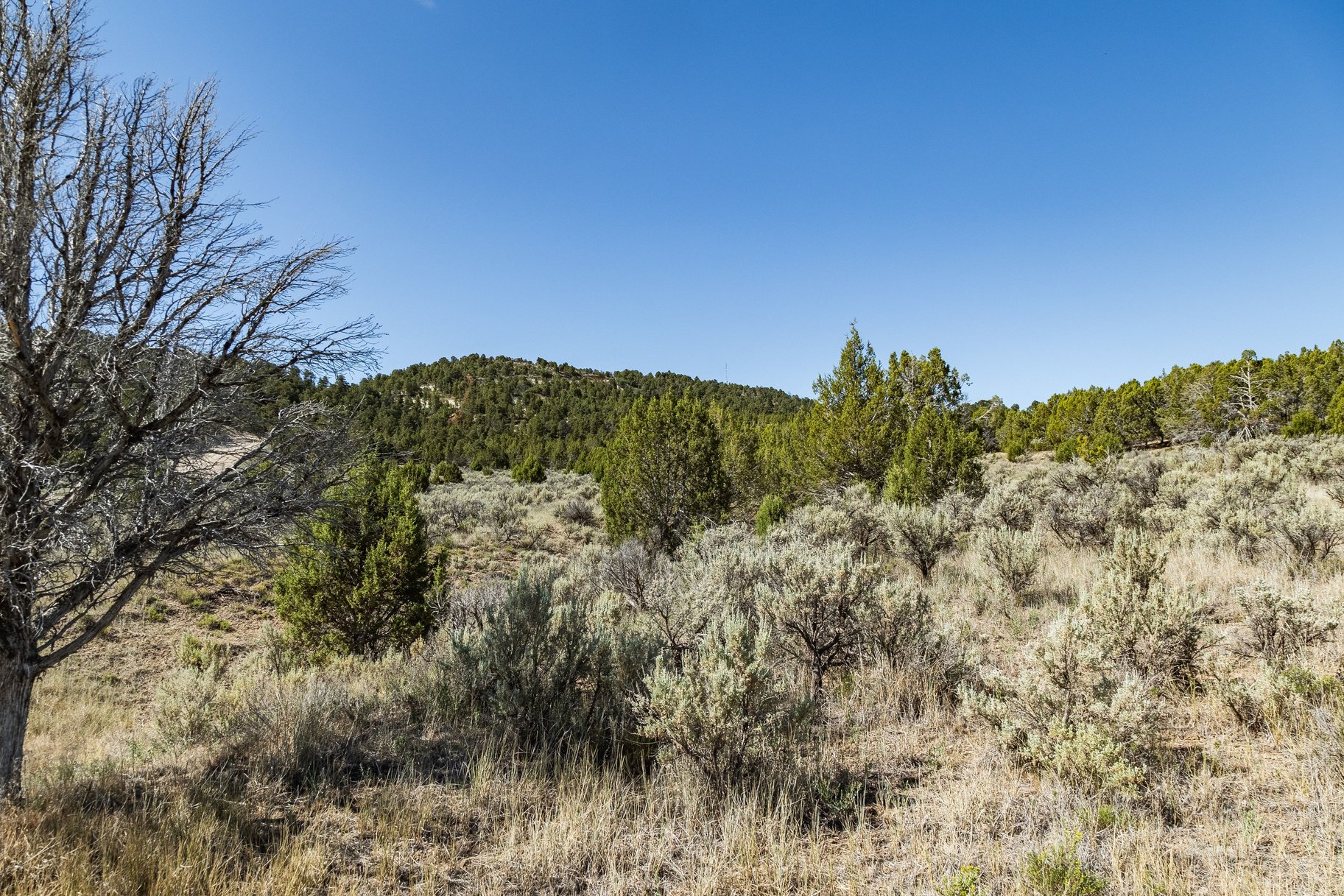  Mountain Living  STR Approved  1.01 Acres - 物件實景
