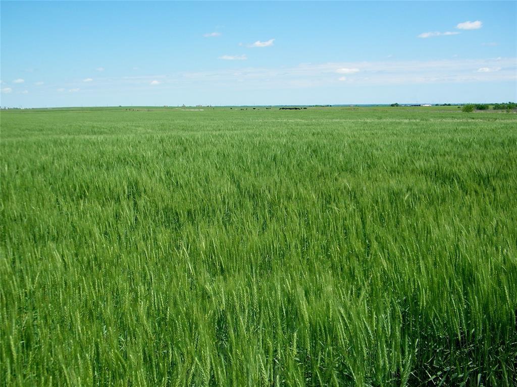 Kingfisher, Oklahoma, 73750, United States, ,Residential,For Sale,1982828