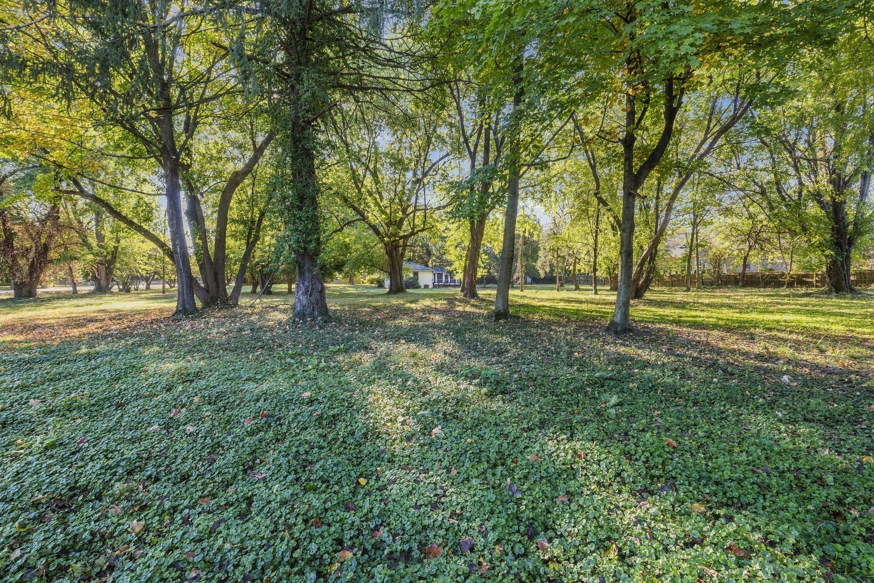  4410 Old Springdale Road, Louisville, KY 40241 - 物件實景