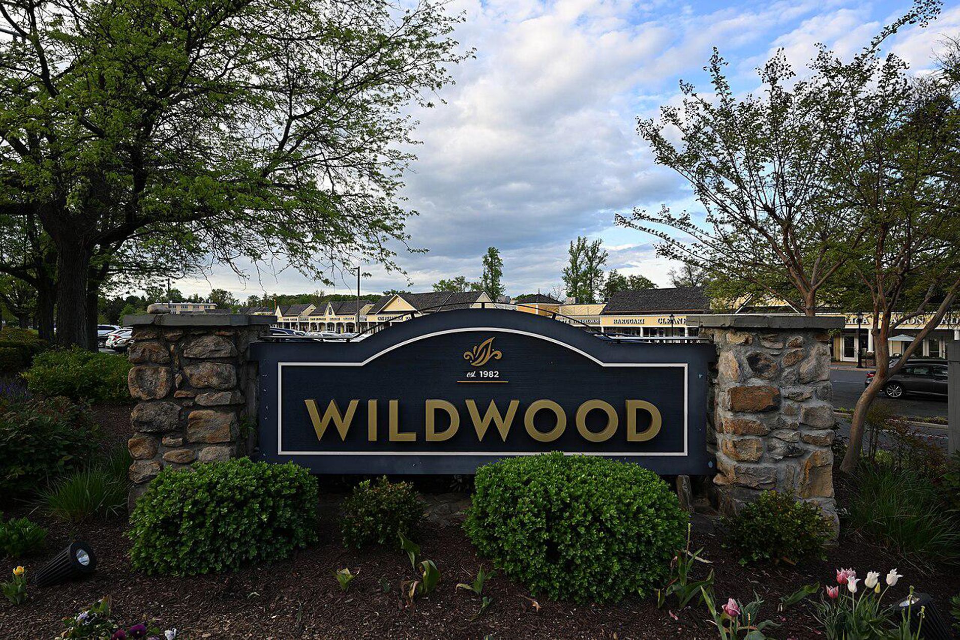  9927 Dickens Avenue, Bethesda, MD, 20814 - 物件實景