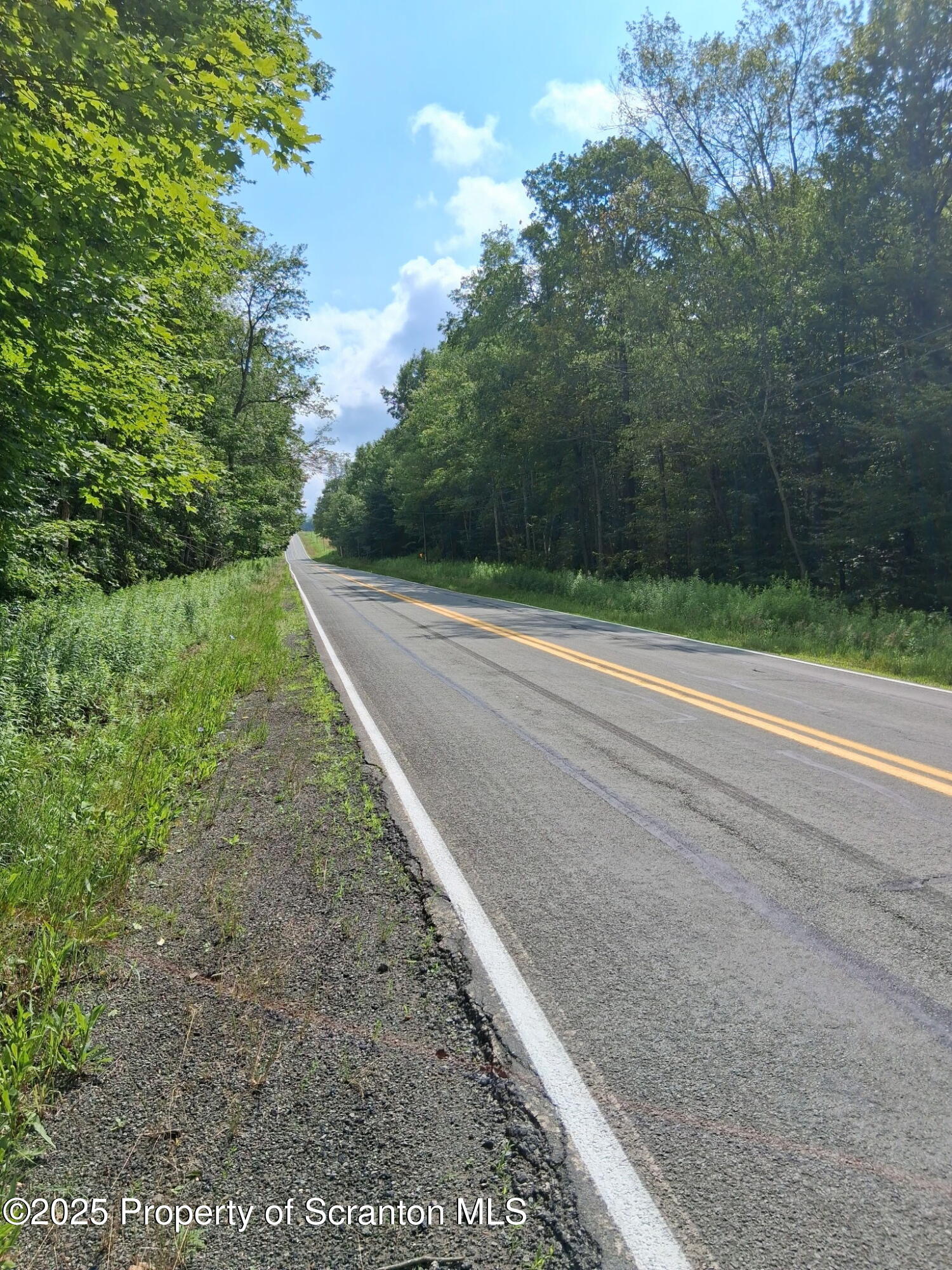 Union Dale, Pennsylvania, 18470, United States, ,Land,For Sale,1975755