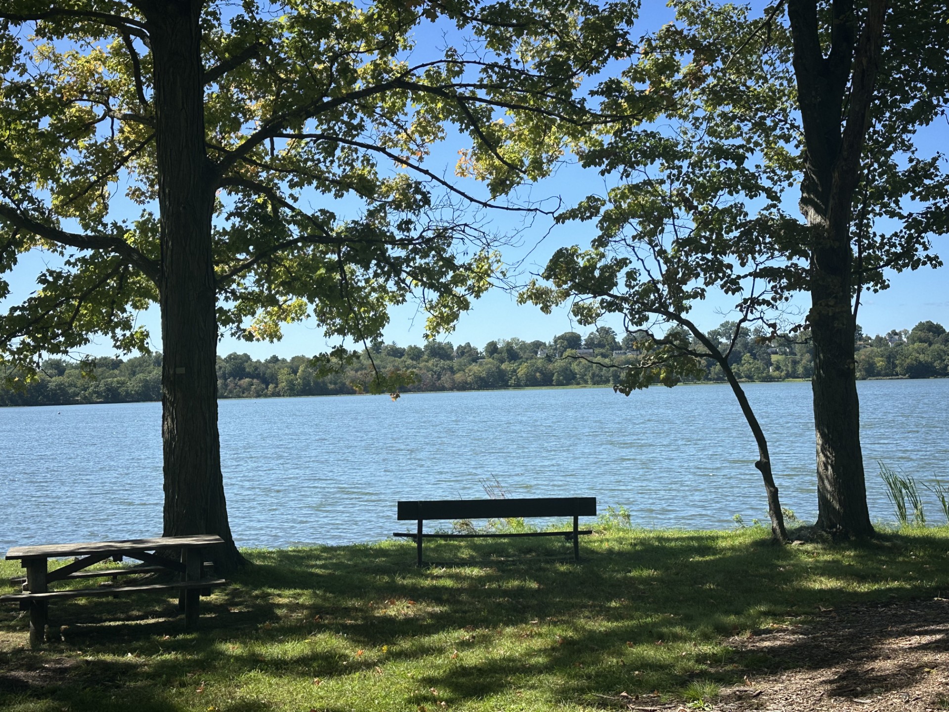  Ranch in Prime Location - 物件實景