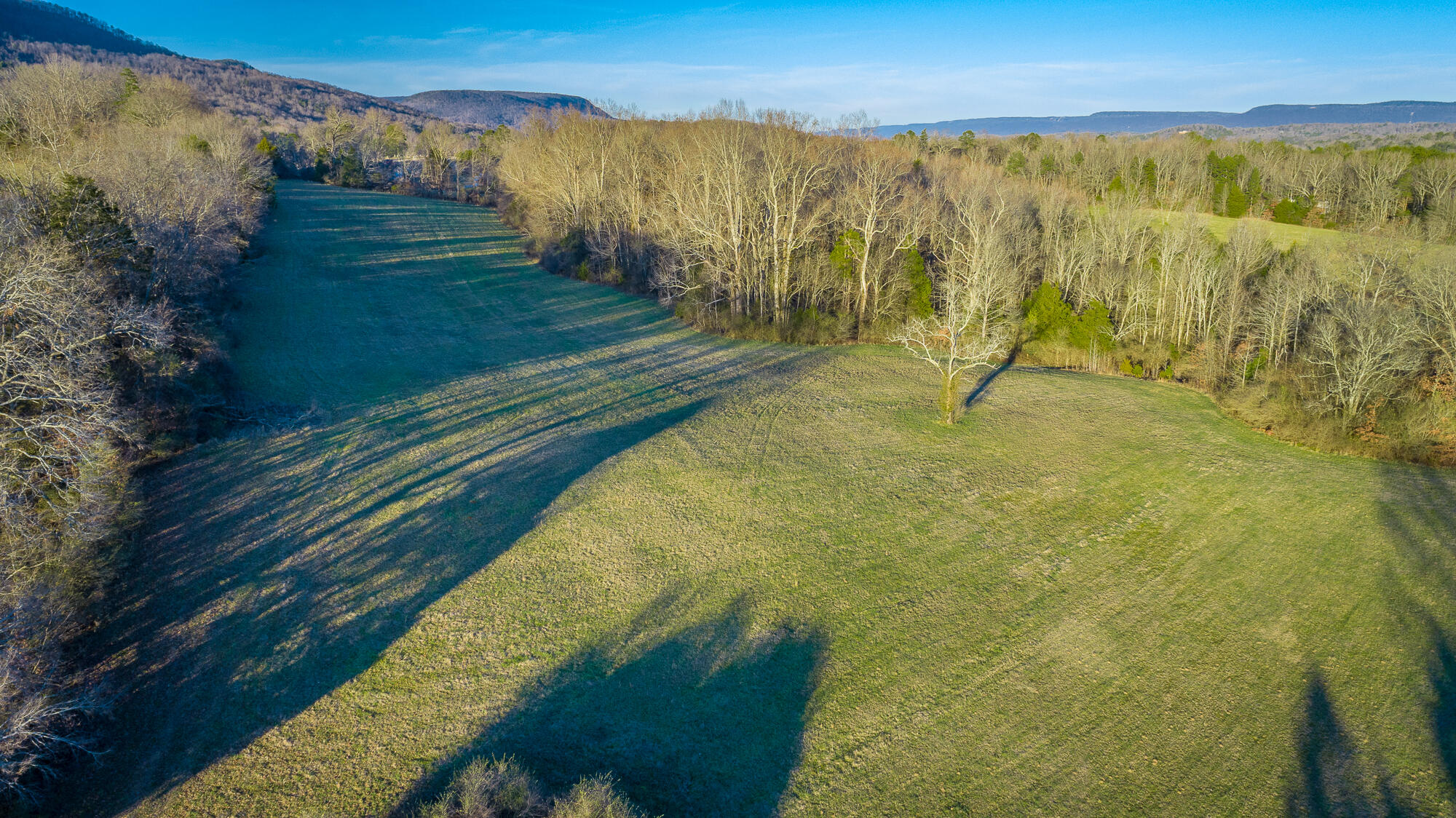 Jasper, Tennessee, 37347, United States, ,Land,For Sale,2009998