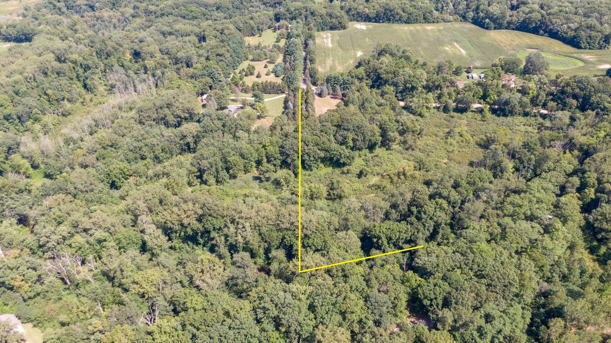 Union Pier, Michigan, 49129, United States, ,Land,For Sale,1988293