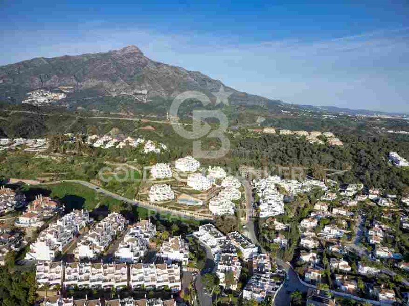 Marbella, Andalusia, ES, 3 Bedrooms Bedrooms, ,2 BathroomsBathrooms,Residential,For Sale,1794254