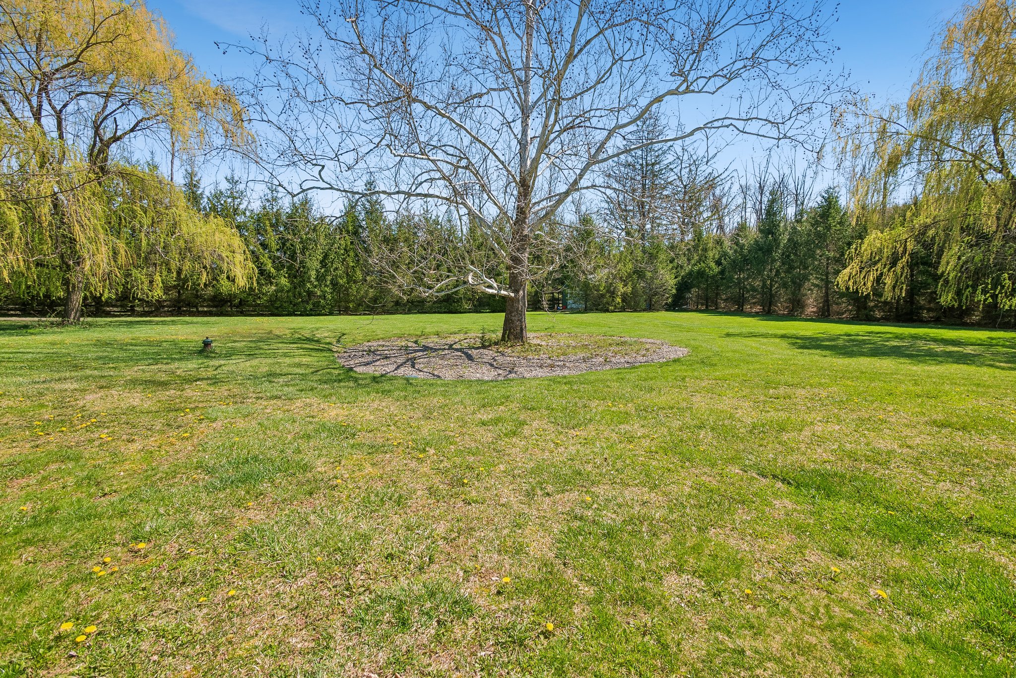  89 Mosle Road, Far Hills, NJ 07931 - 物件實景