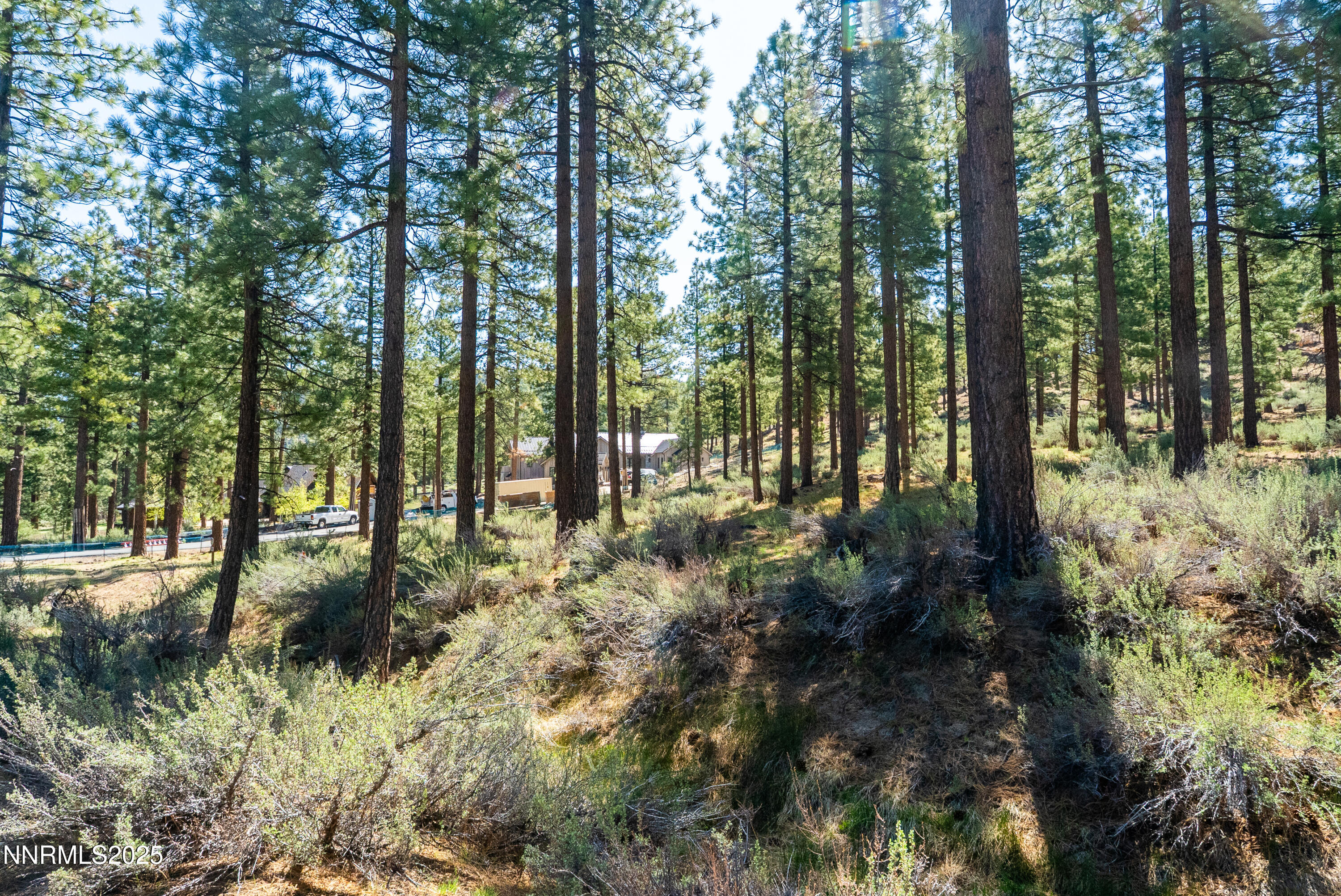 Carson City, Nevada, 89705, United States, ,Land,For Sale,1846834