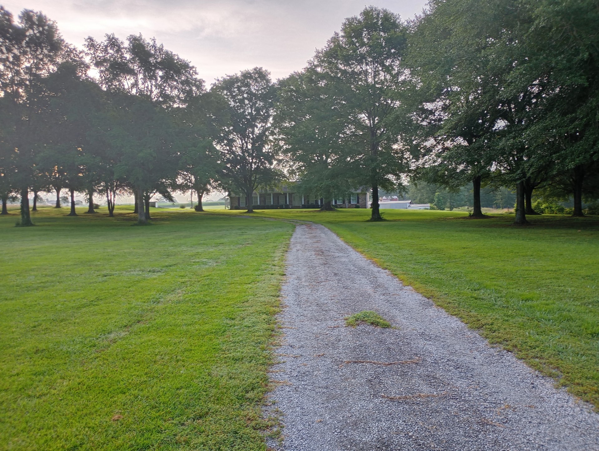 Moulton, Alabama, 35650, United States, 3 Bedrooms Bedrooms, ,2 BathroomsBathrooms,Residential,For Sale,1981747