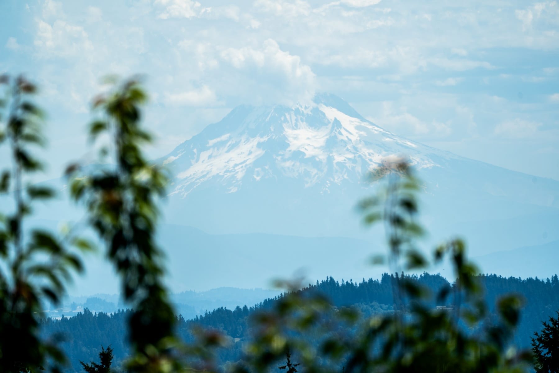  19335 SUNCREST DR West Linn, OR 97068 - 物件實景