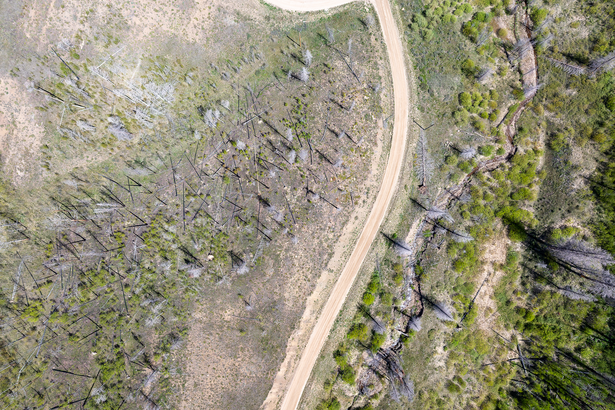  811 Gcr 408w, Granby, CO, 80446 - 物件實景