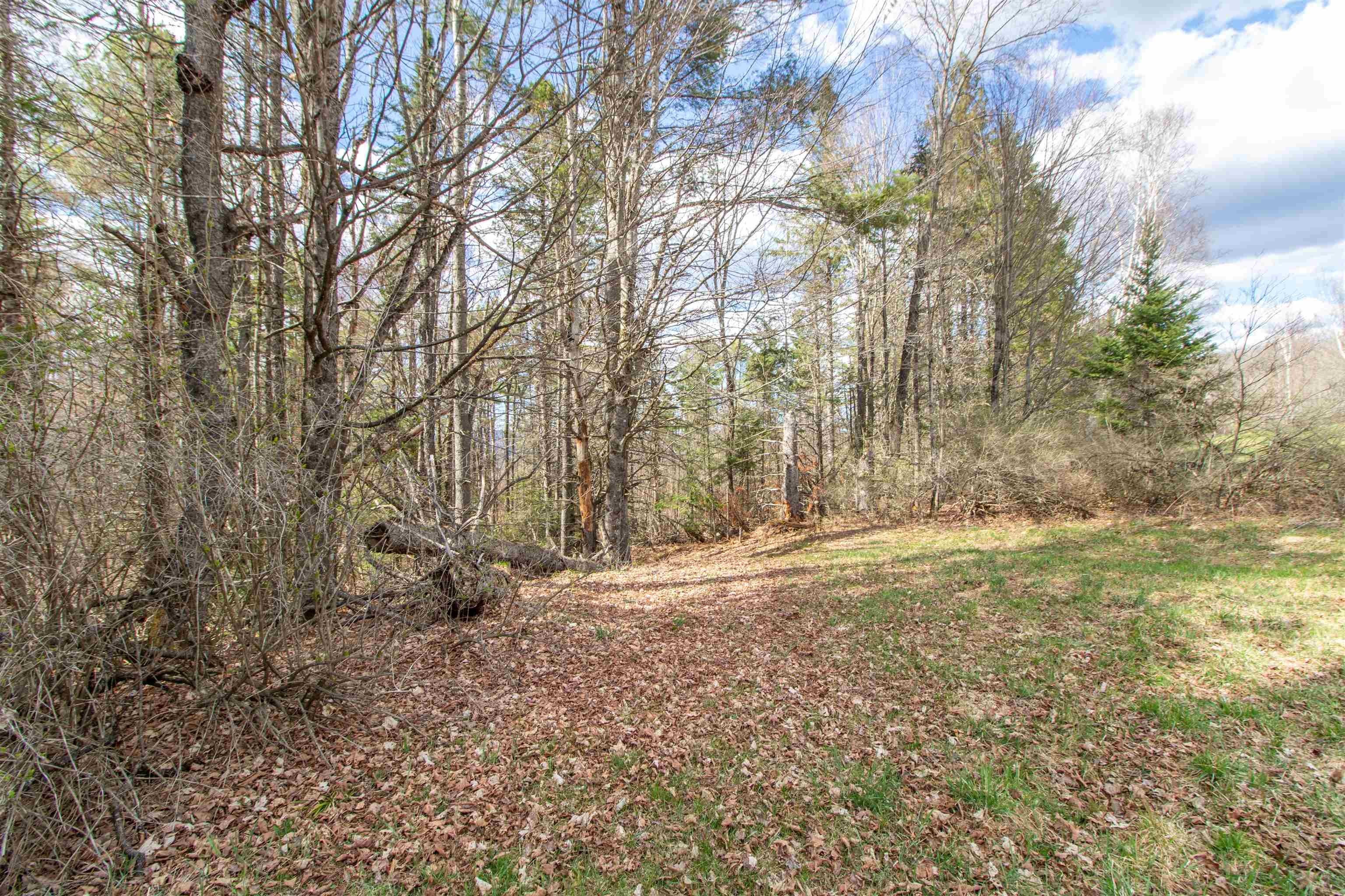 Burke, Vermont, 05832, United States, ,Land,For Sale,2041867
