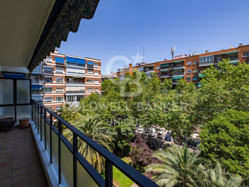 Madrid, Comunidad de Madrid, ES, 5 Bedrooms Bedrooms, ,3 BathroomsBathrooms,Residential,For Sale,1847498
