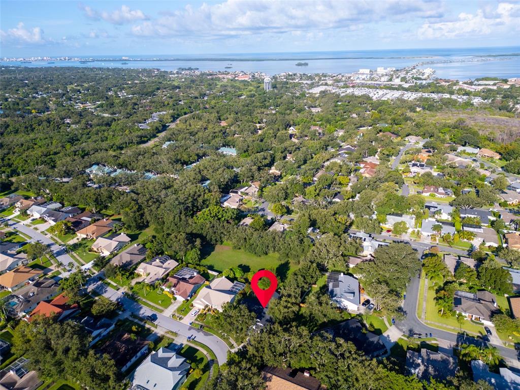 Palm Harbor, Florida, 34683, United States, 4 Bedrooms Bedrooms, ,3 BathroomsBathrooms,Residential,For Sale,1989112