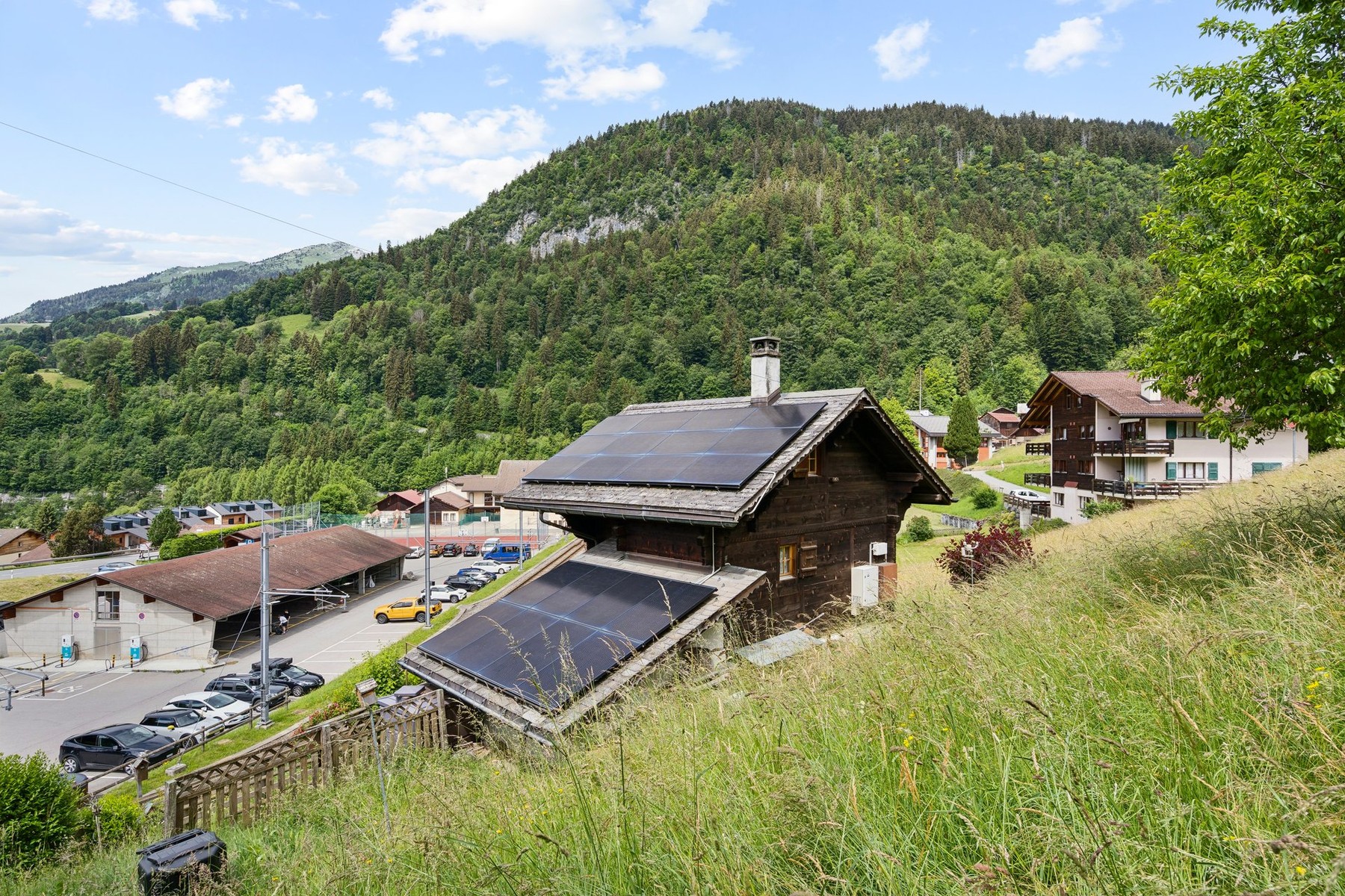  Authentic Mountain Chalet in the Heart of the Vaud Alps - 物件實景