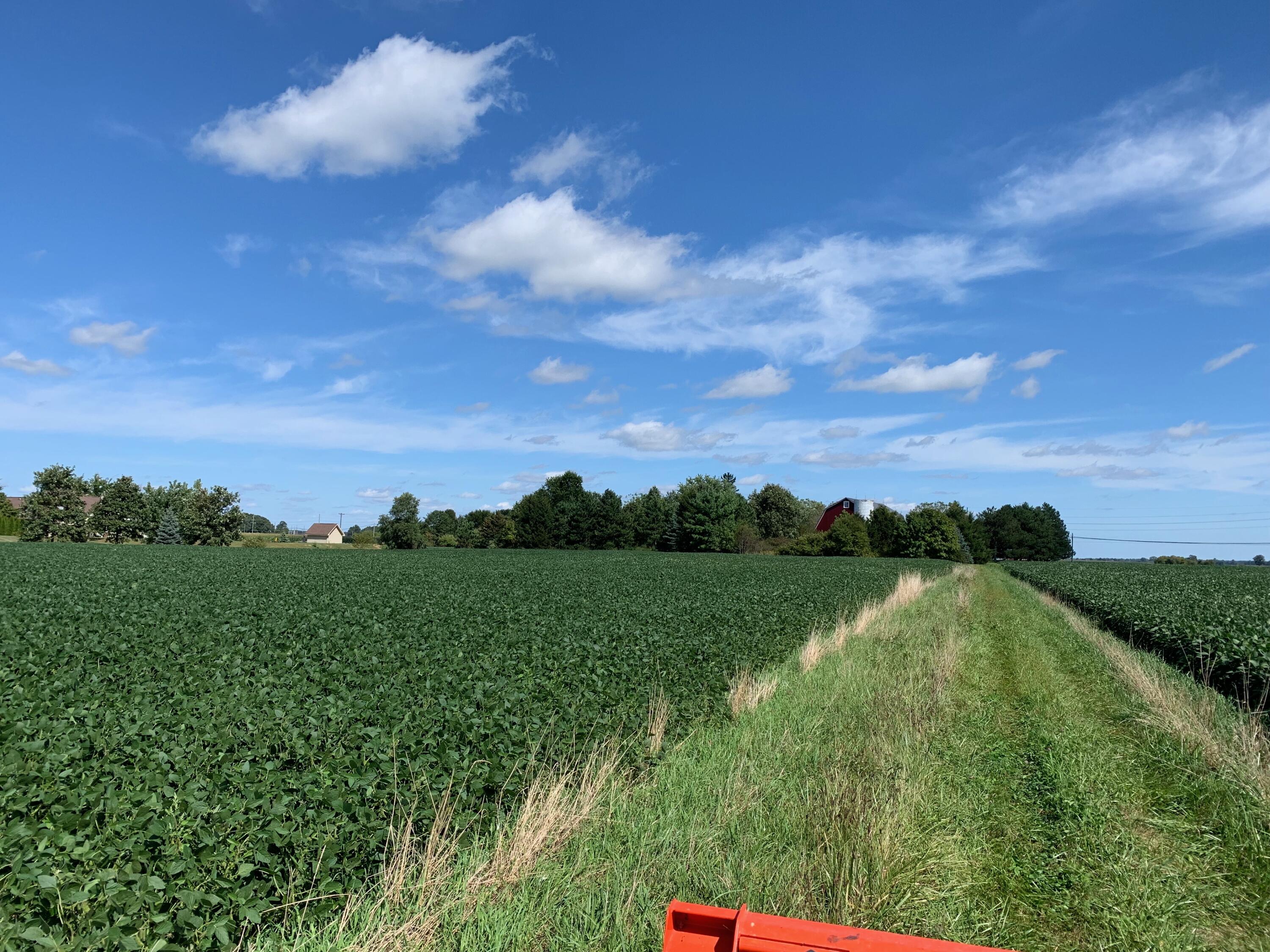 Ida, Michigan, 48140, United States, 4 Bedrooms Bedrooms, ,3 BathroomsBathrooms,Residential,For Sale,1973909