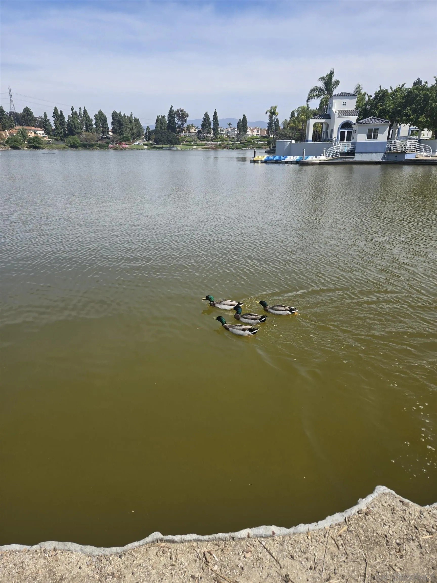 Chula Vista, California, 91913, United States, 3 Bedrooms Bedrooms, ,2 BathroomsBathrooms,Residential,For Sale,1859541