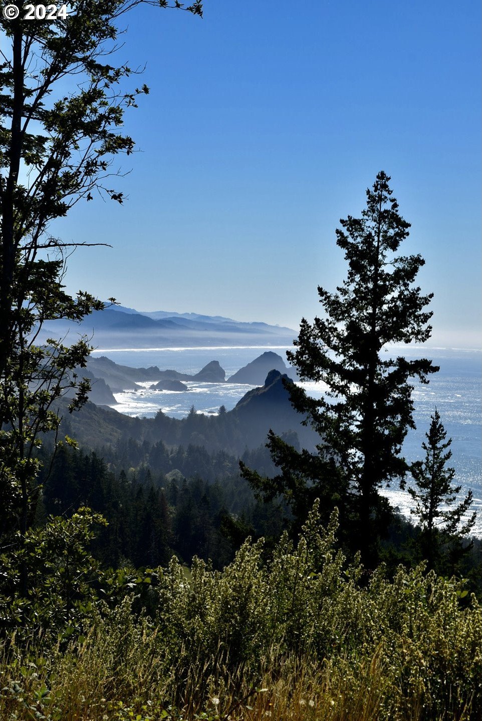Port Orford, Oregon, 97465, United States, ,Land,For Sale,1977705
