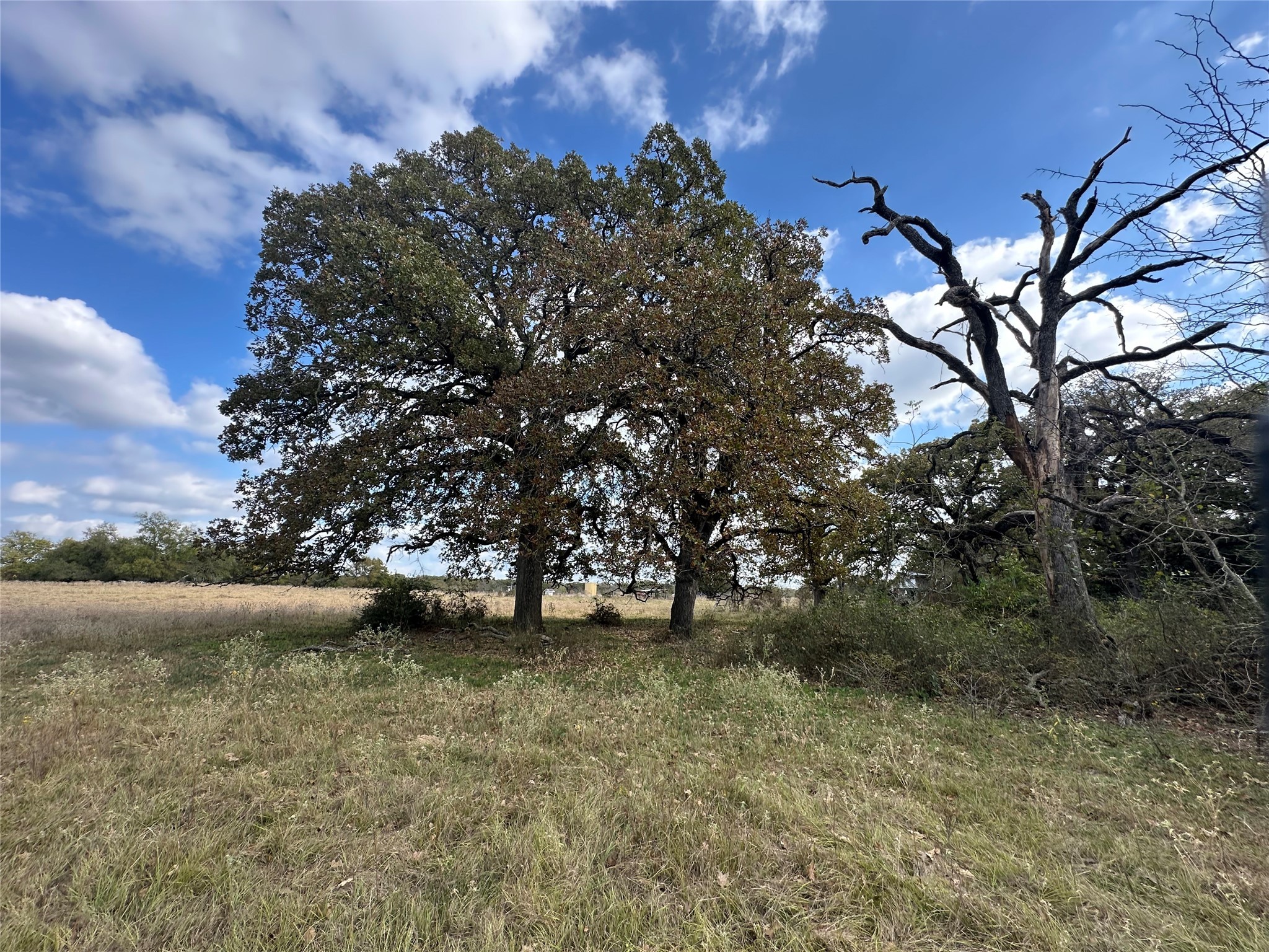 Thornton, Texas, 76687, United States, ,Land,For Sale,1995546