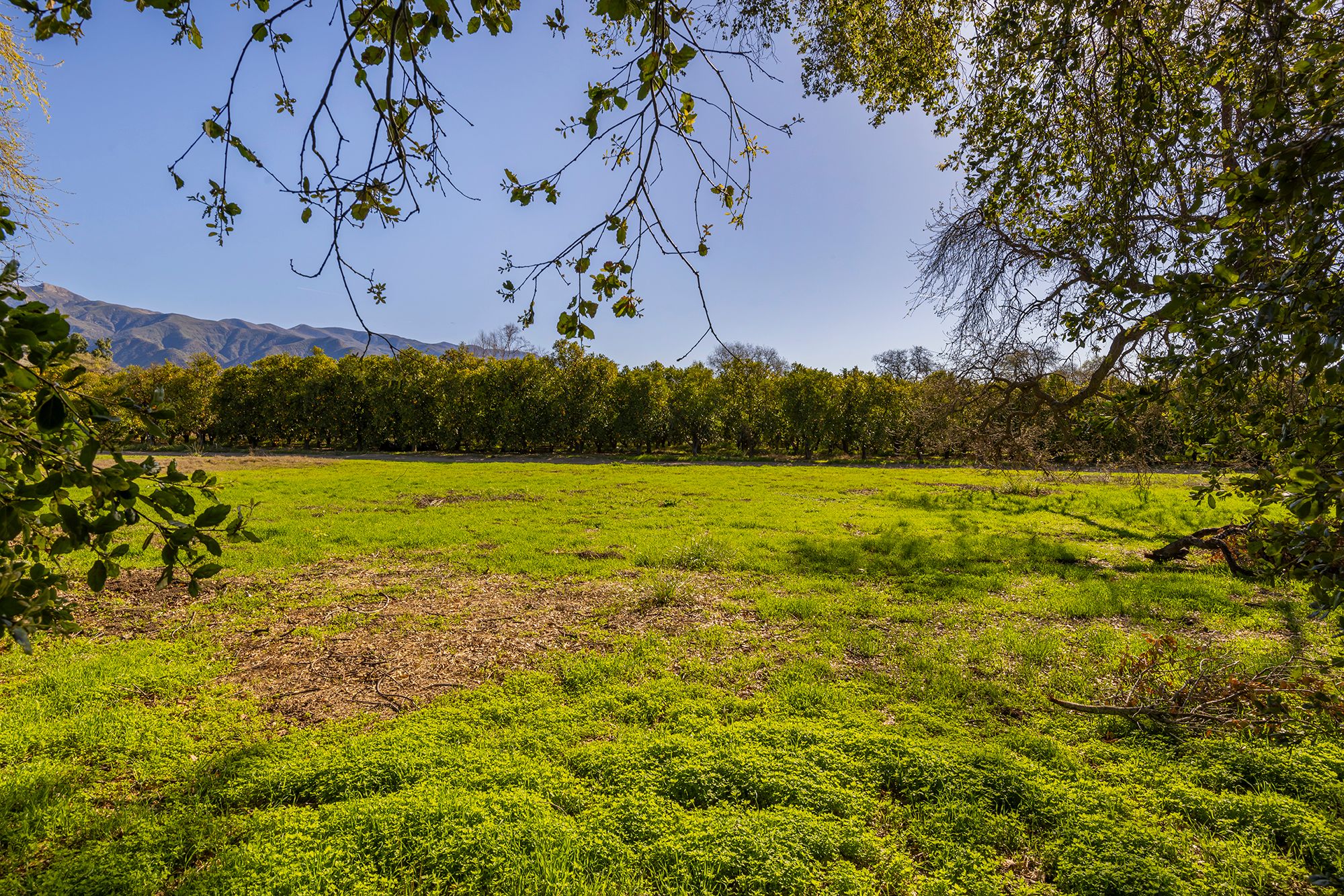  1201 Grand Avenue, Ojai, CA 93023 - 物件實景