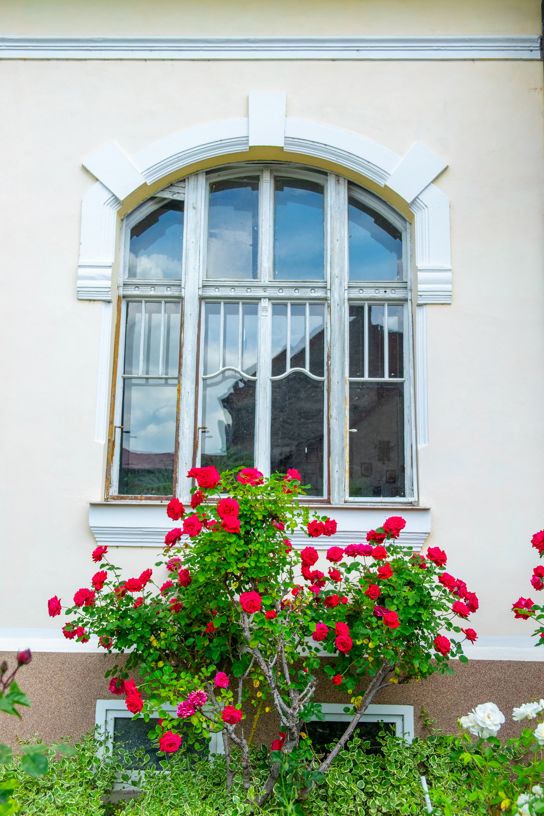  Ferch Manor - History and Tradition near Timioara - 物件實景