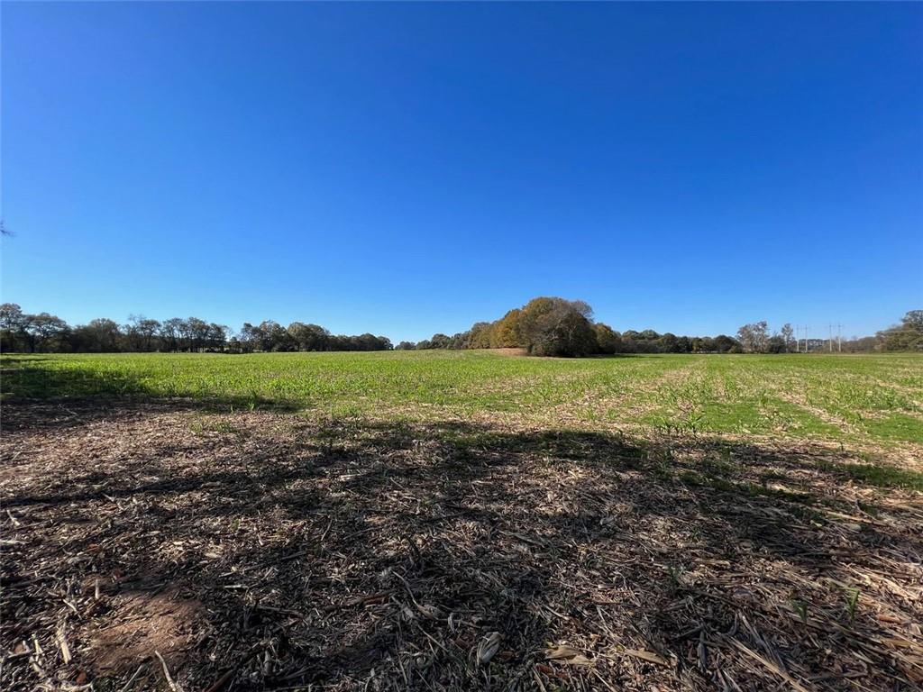 Taylorsville, Georgia, 30178, United States, ,Land,For Sale,1795283