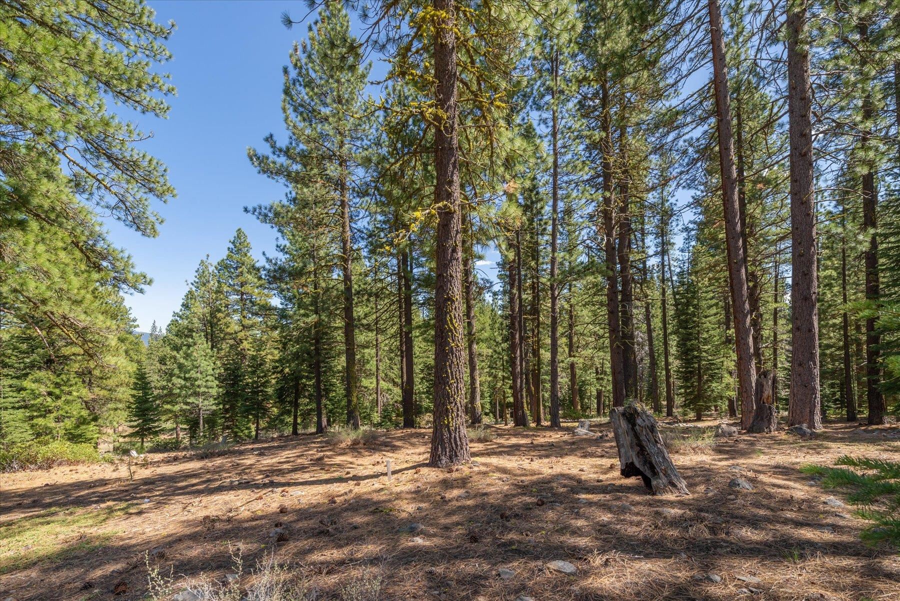 Truckee, California, 96161, United States, ,Land,For Sale,1828145