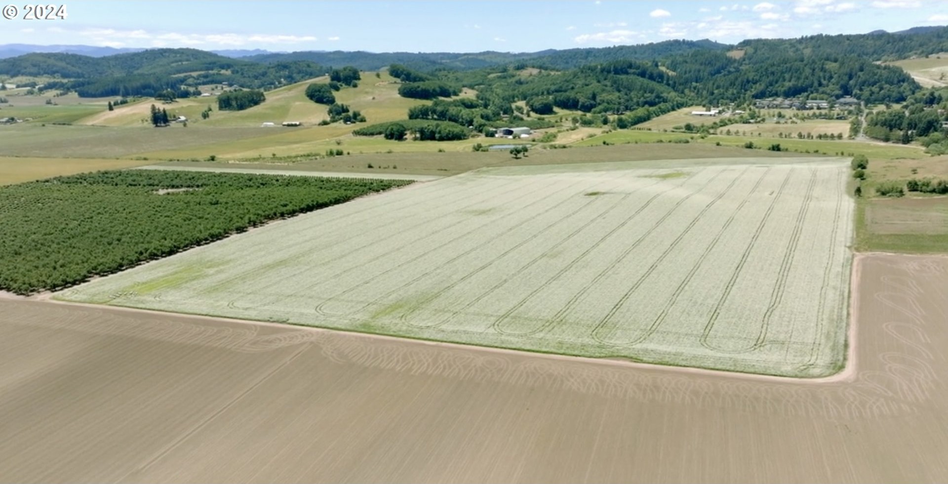 0 SW YOUNGBERG HILL RD, McMinnville, Oregon, 97128, United States, ,Land,For Sale,0 SW YOUNGBERG HILL RD,1523694