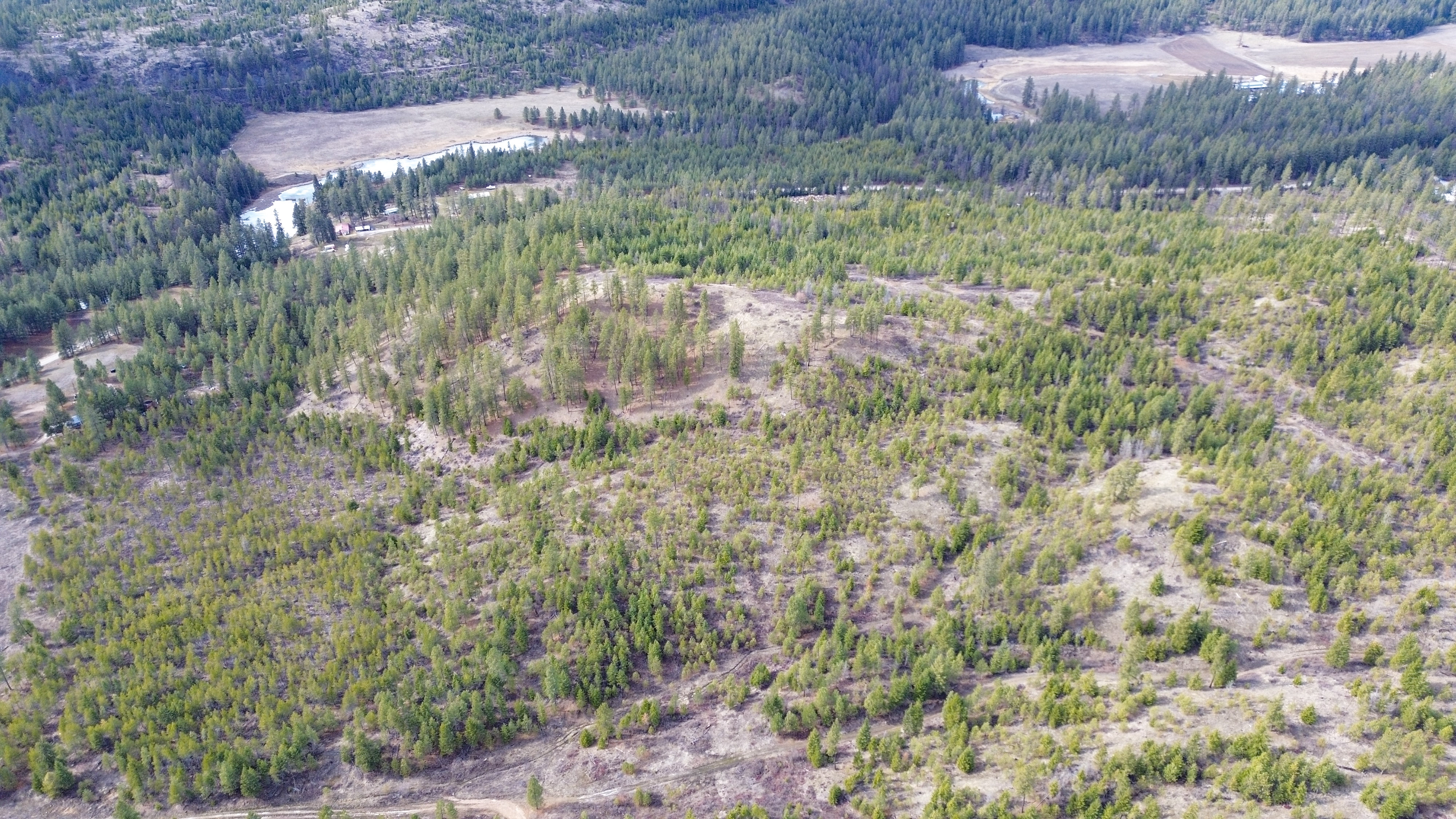 Valley, Washington, 99181, United States, ,Land,For Sale,1979391