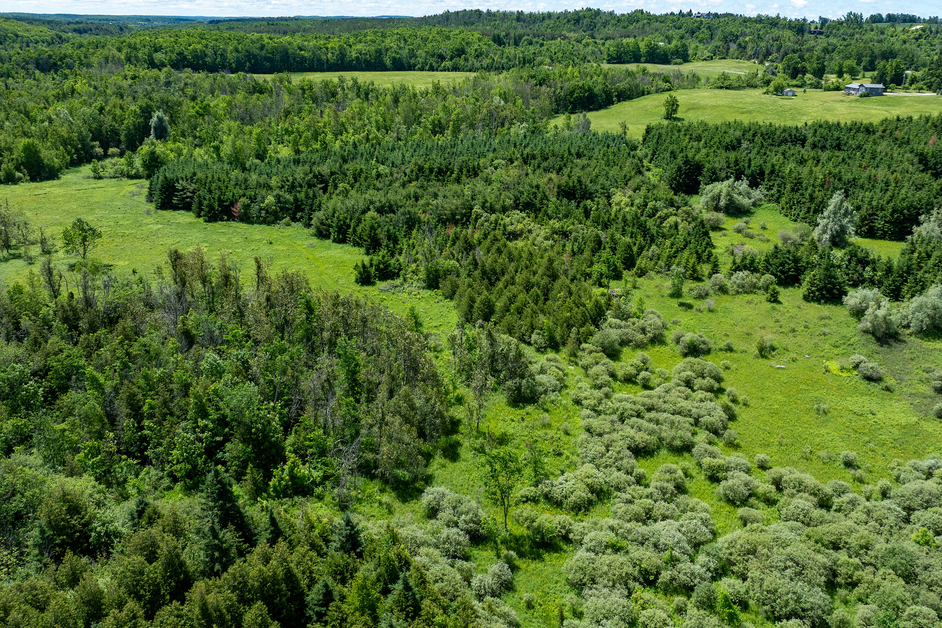  50 acre parcel in Mulmur ON - 物件實景