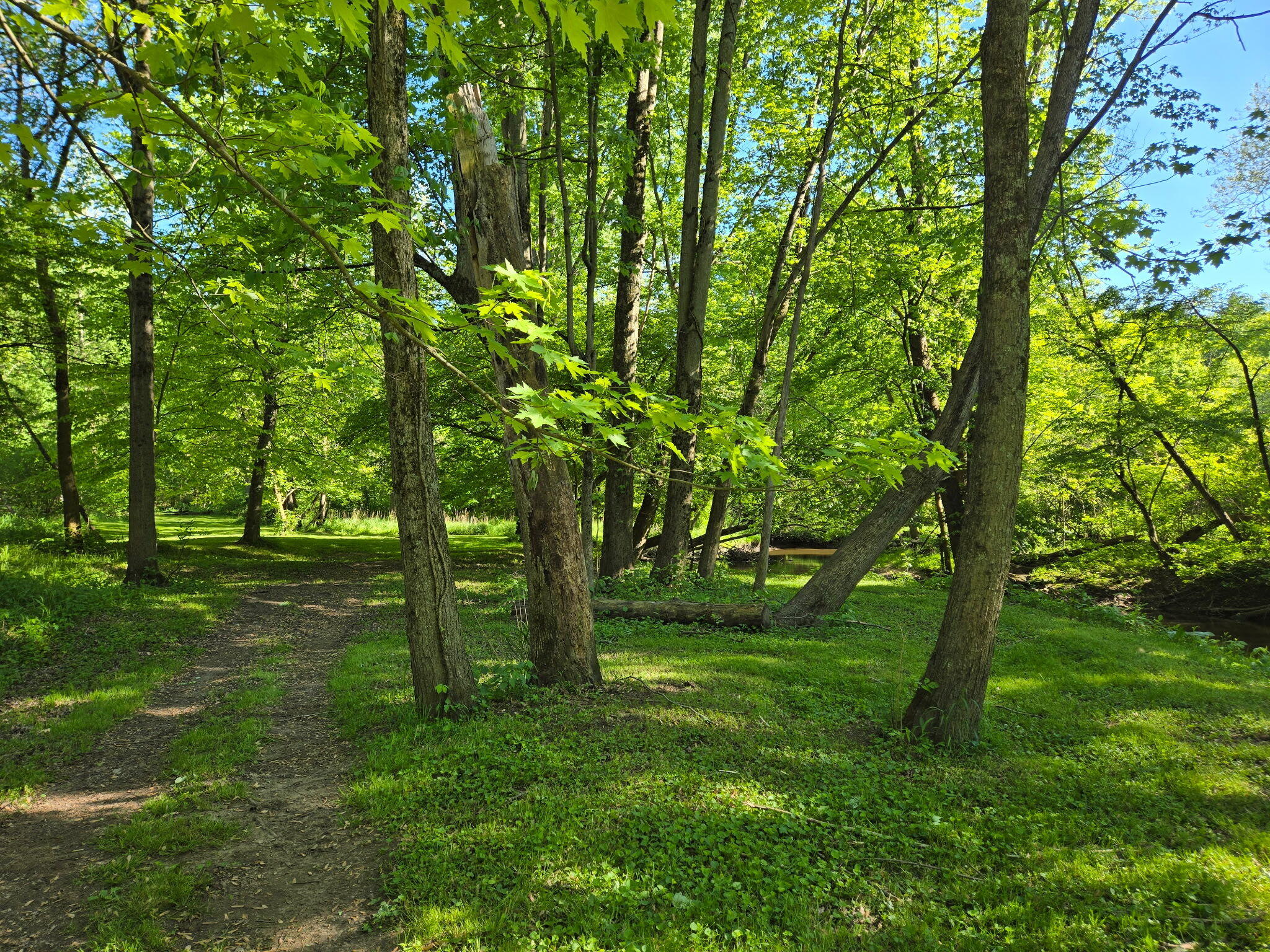 Bangor, Michigan, 49013, United States, 3 Bedrooms Bedrooms, ,2 BathroomsBathrooms,Residential,For Sale,1930428