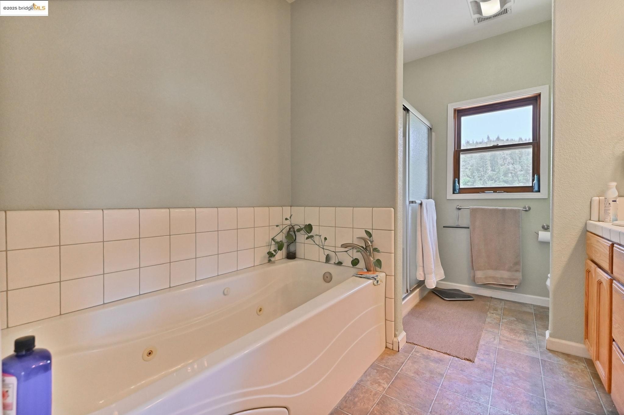 Tuolumne, California, 95379, United States, 5 Bedrooms Bedrooms, ,4 BathroomsBathrooms,Residential,For Sale,1983236