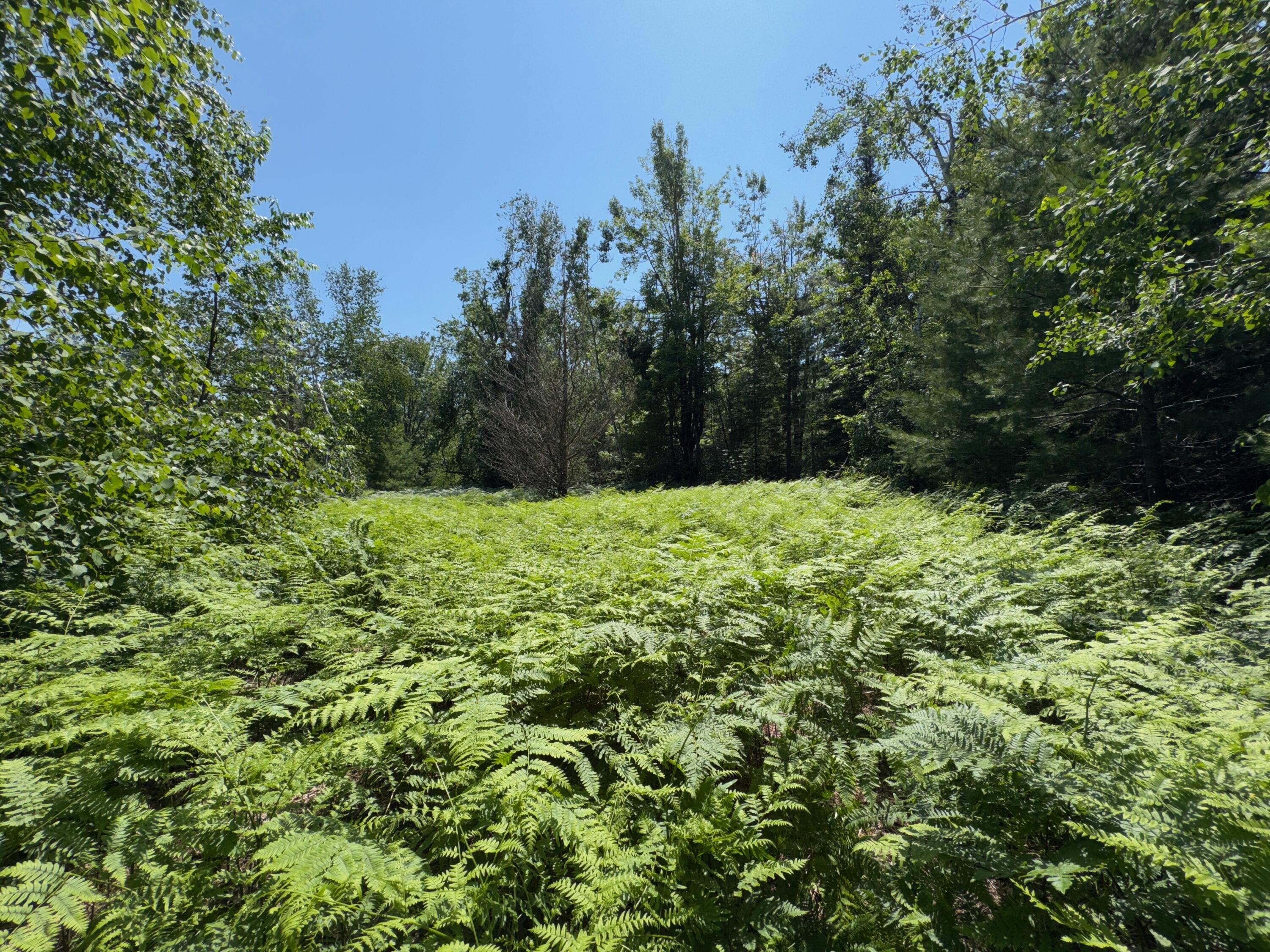 Wolverine, Michigan, 49799, United States, 2 Bedrooms Bedrooms, ,2 BathroomsBathrooms,Residential,For Sale,1885505