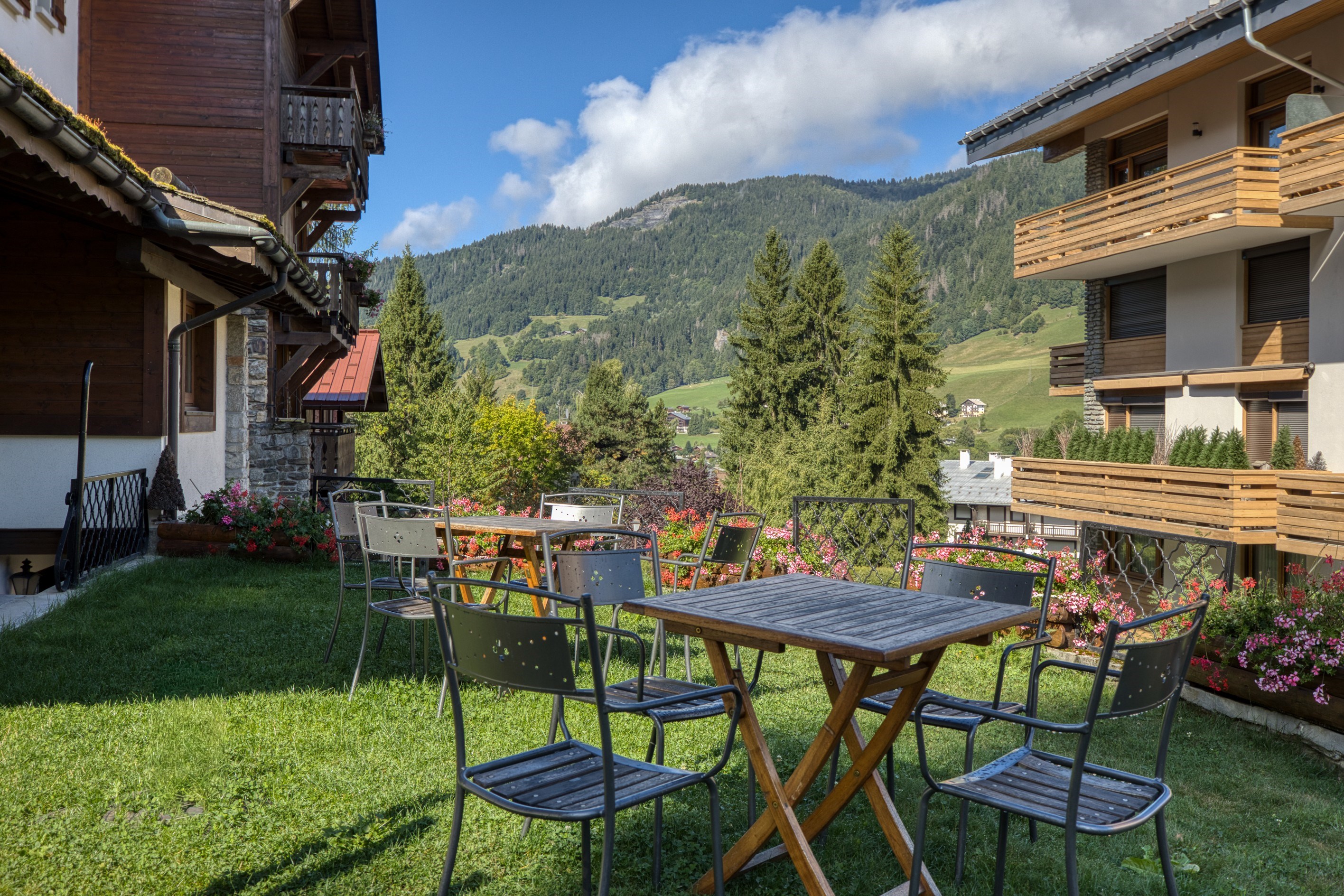  Chalet Alp Hotel - A stone