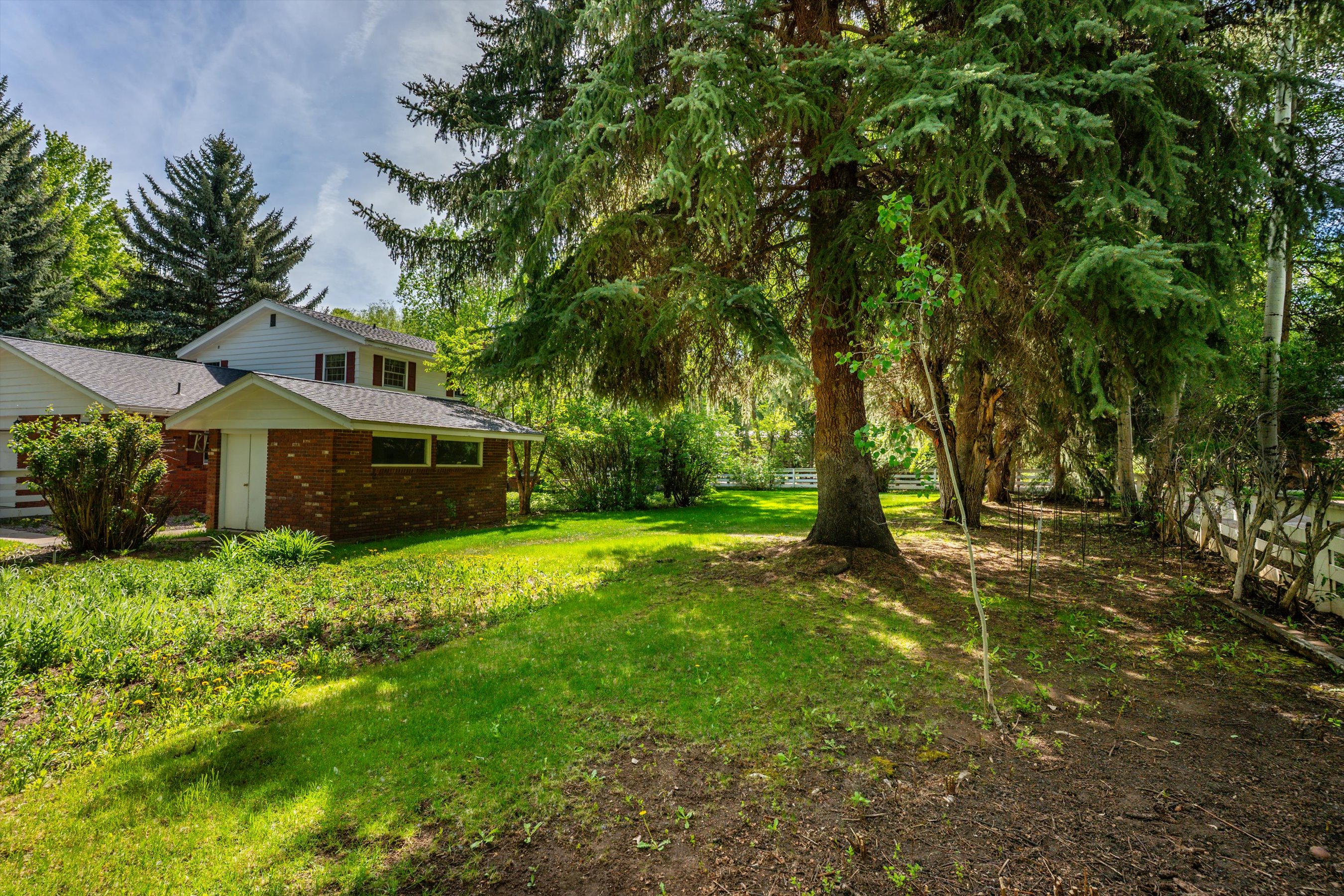  875 Bonita Drive, Aspen, CO 81611 - 物件實景