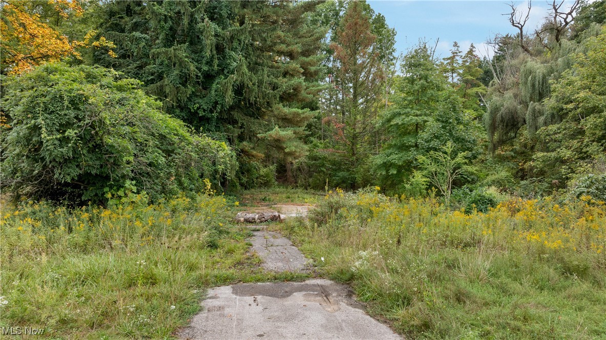 1356 E Turkeyfoot Lake Road, Akron, Ohio, 44312, United States, ,Land,For Sale,1356 E Turkeyfoot Lake Road,1668740