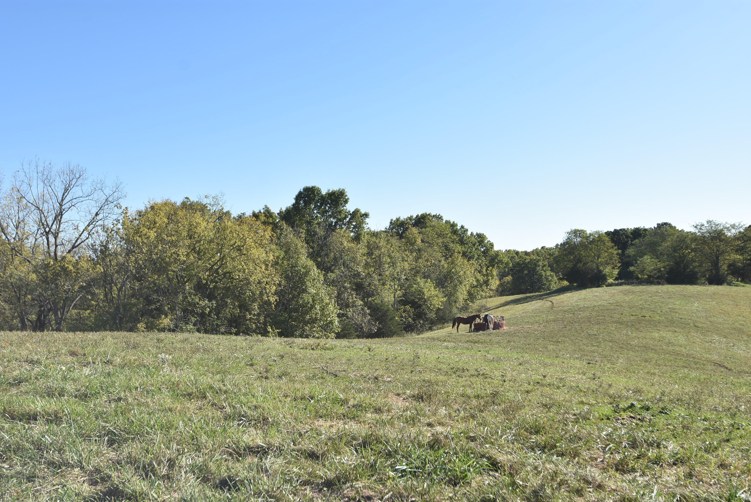 Willisburg, Kentucky, 40078, United States, 4 Bedrooms Bedrooms, ,1 BathroomBathrooms,Residential,For Sale,1962831