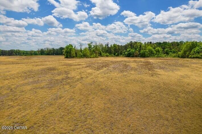 Brownsville, Tennessee, 38012, United States, ,Land,For Sale,1894803