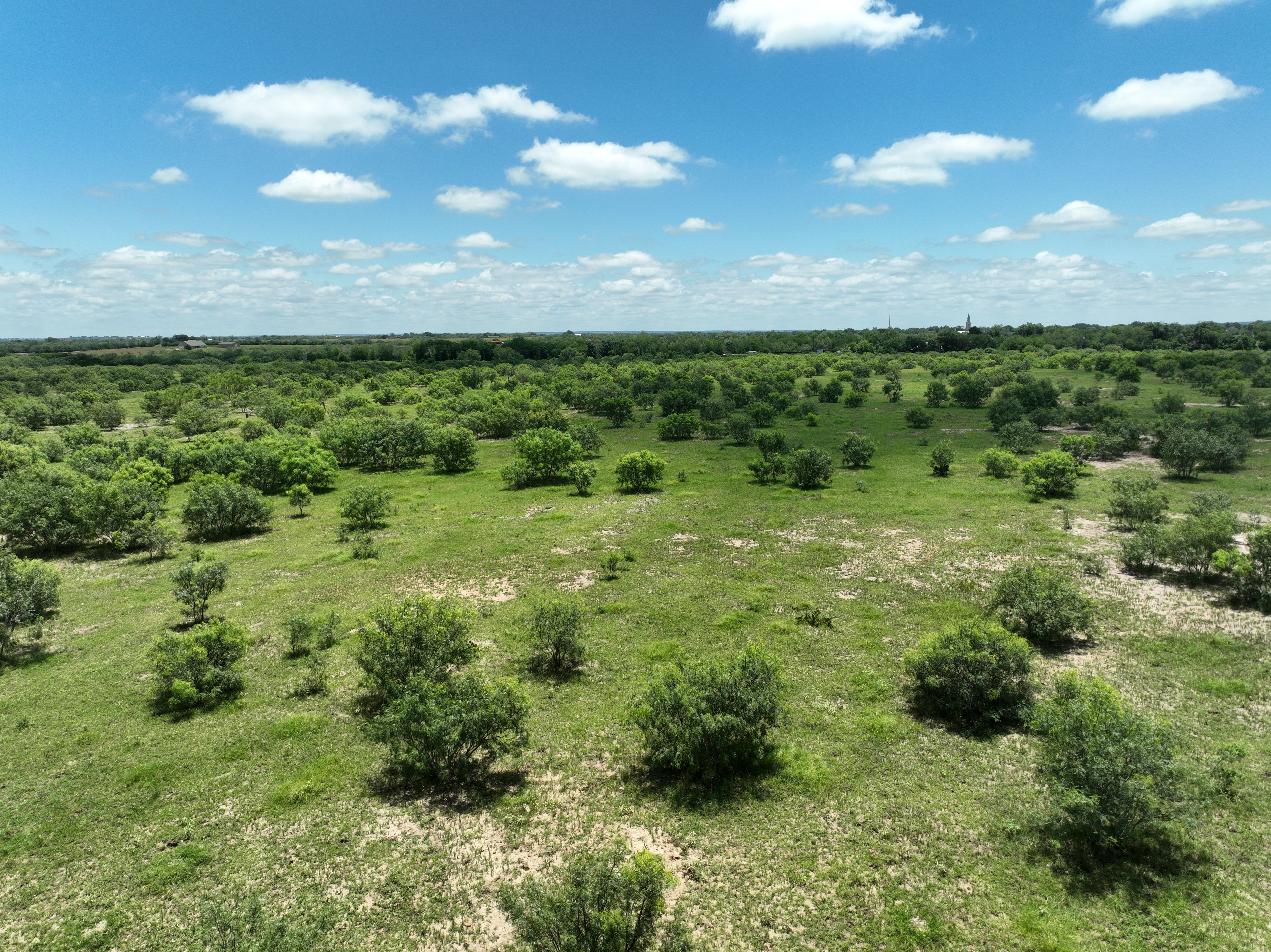  87.69+/- Acres in Bexar County - 物件實景