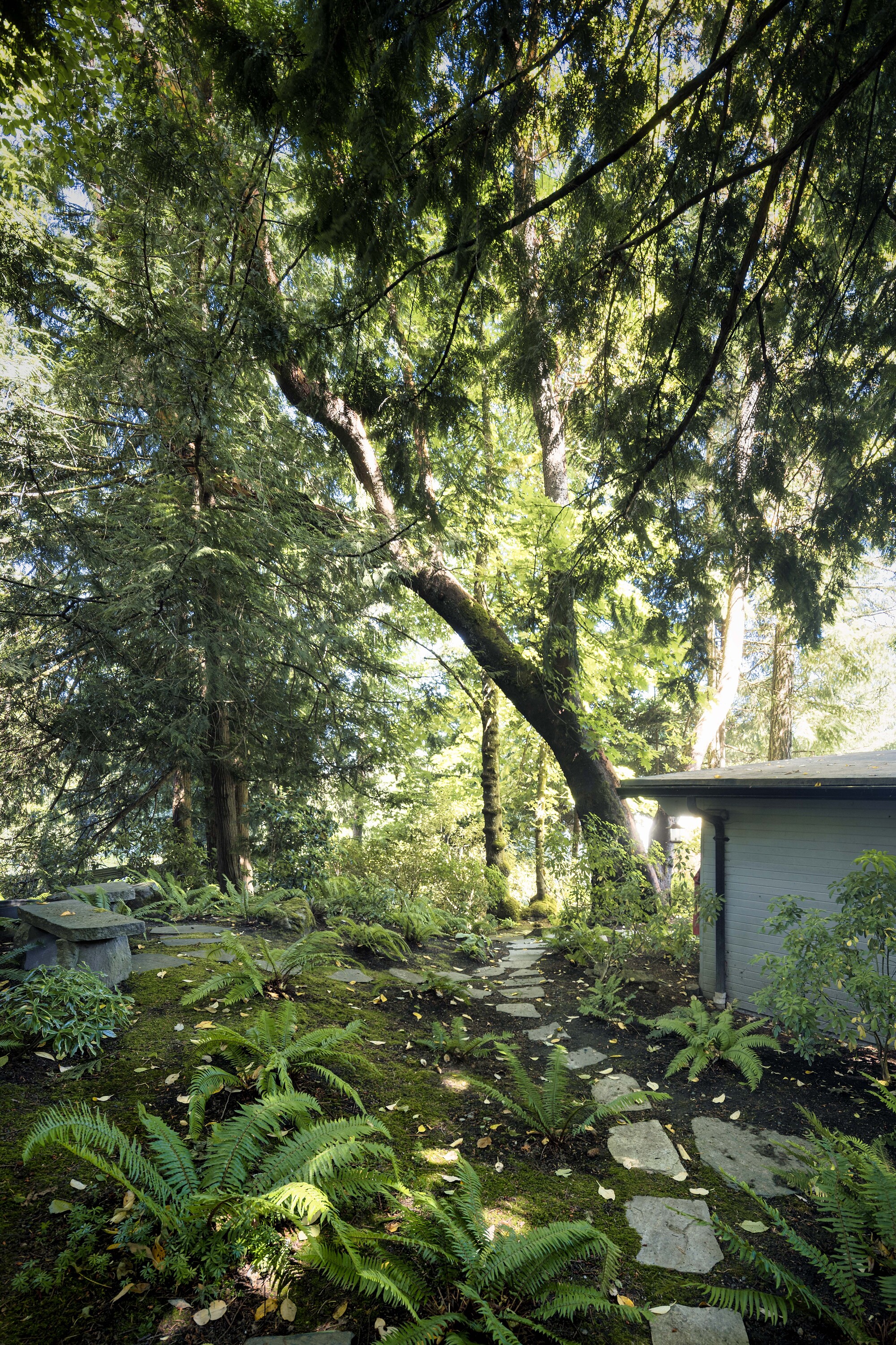  Architectural Sanctuary - 物件實景